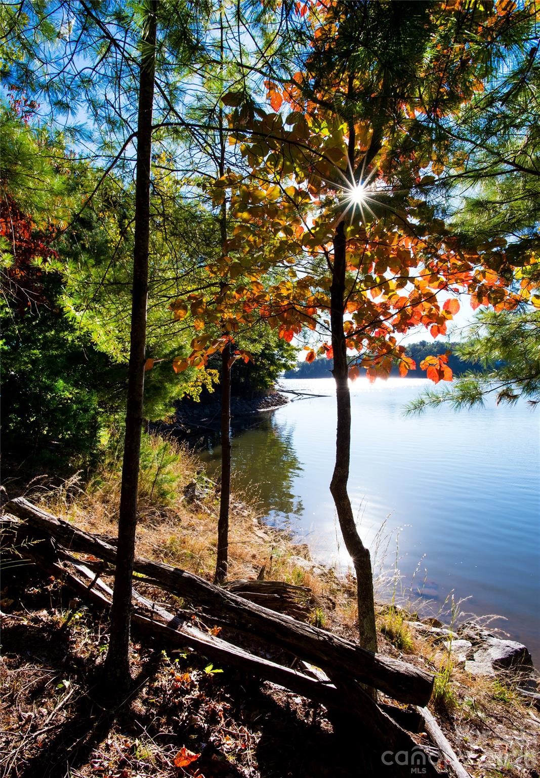 Old Wildlife Club - Land