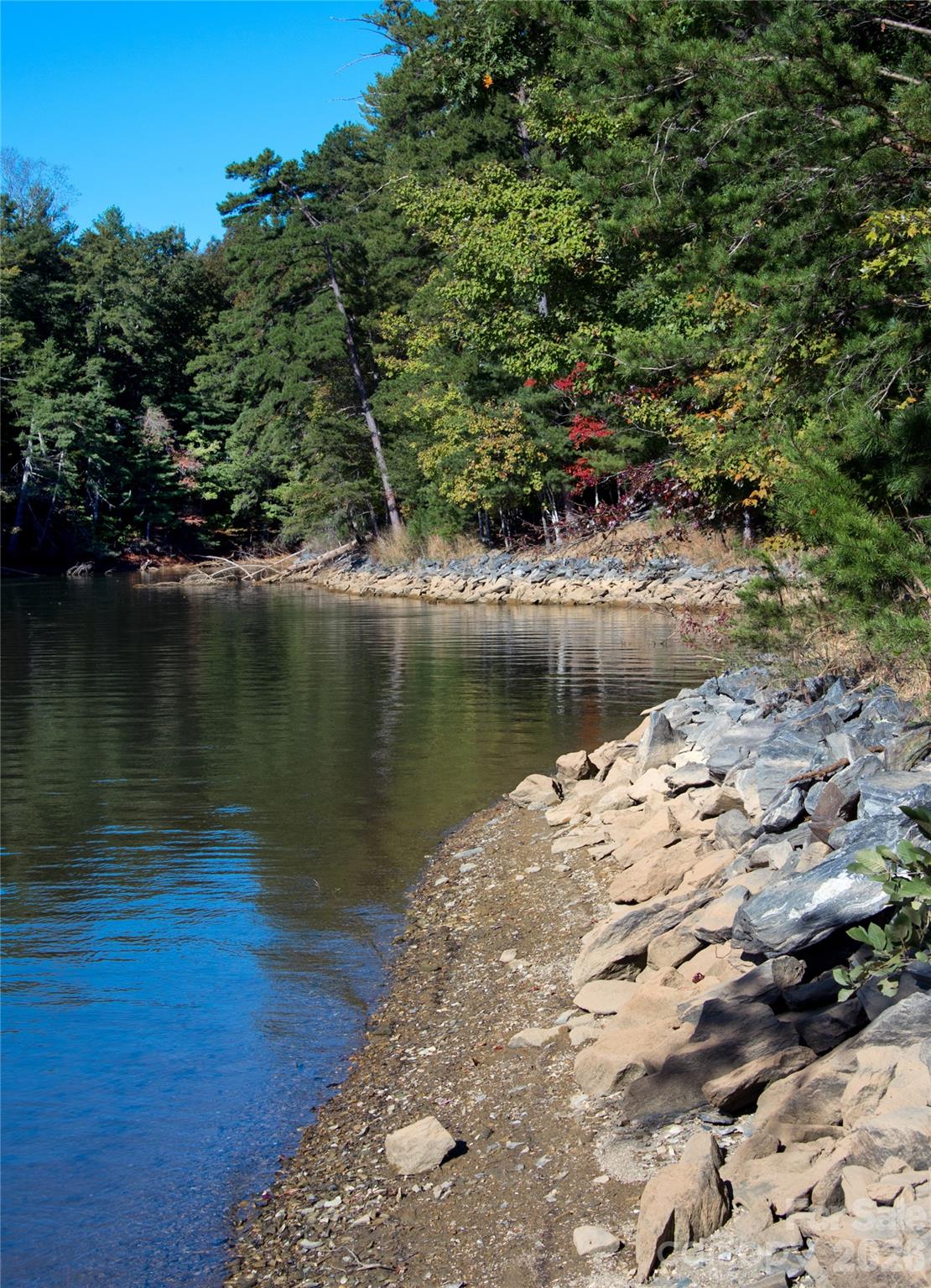 Old Wildlife Club - Land