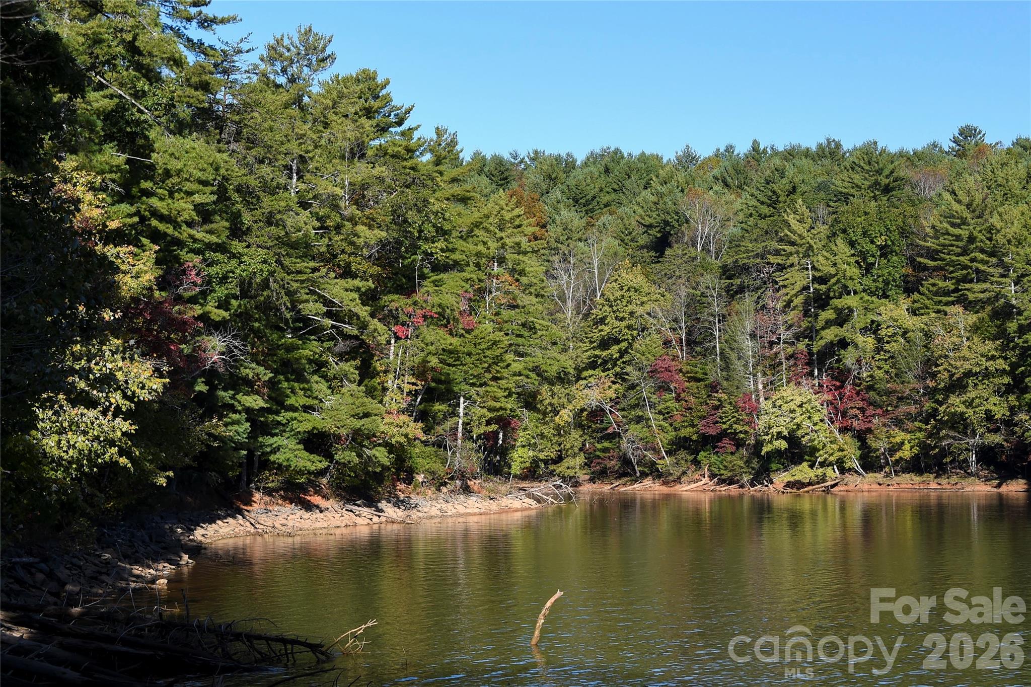 Old Wildlife Club - Land