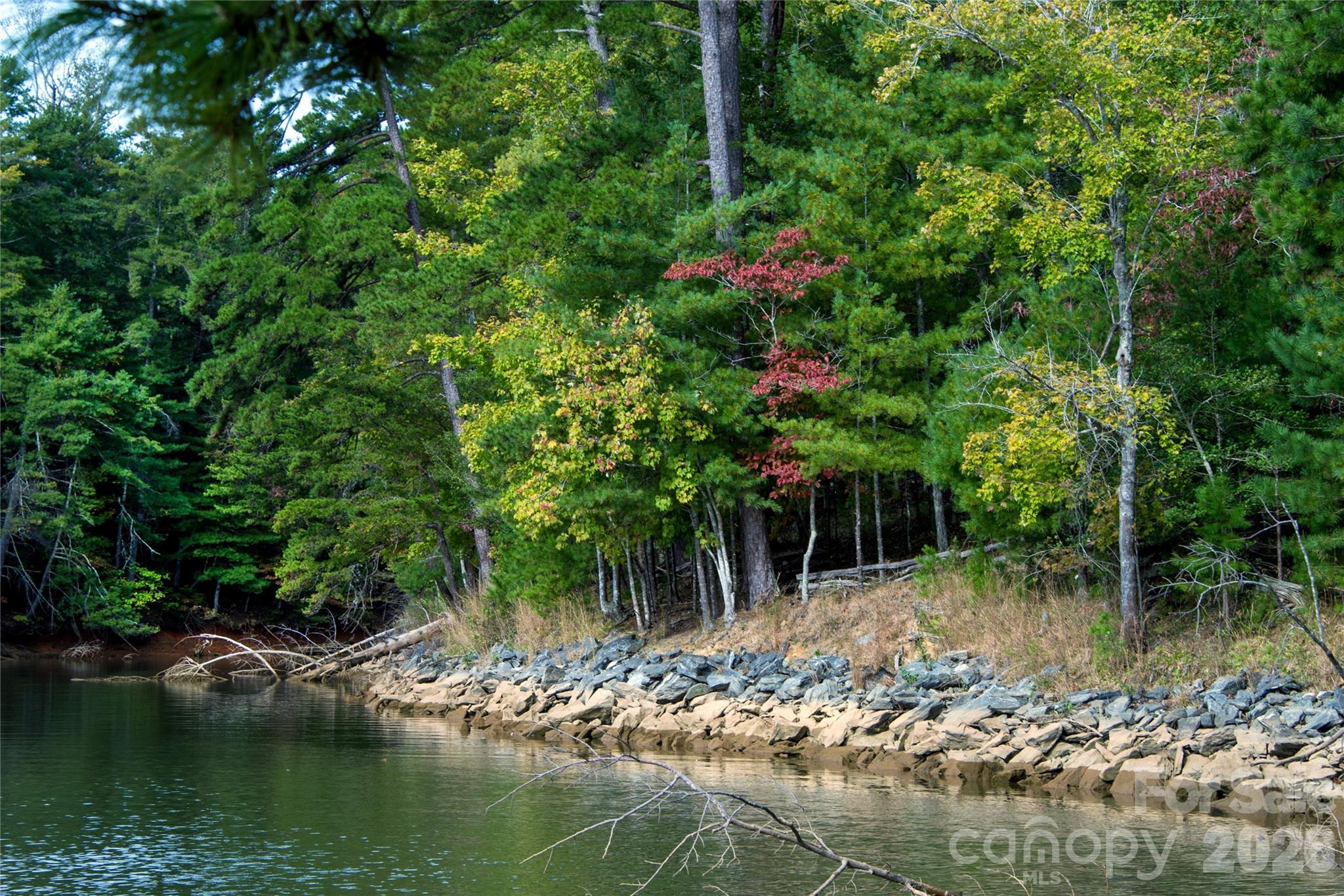 Old Wildlife Club - Land