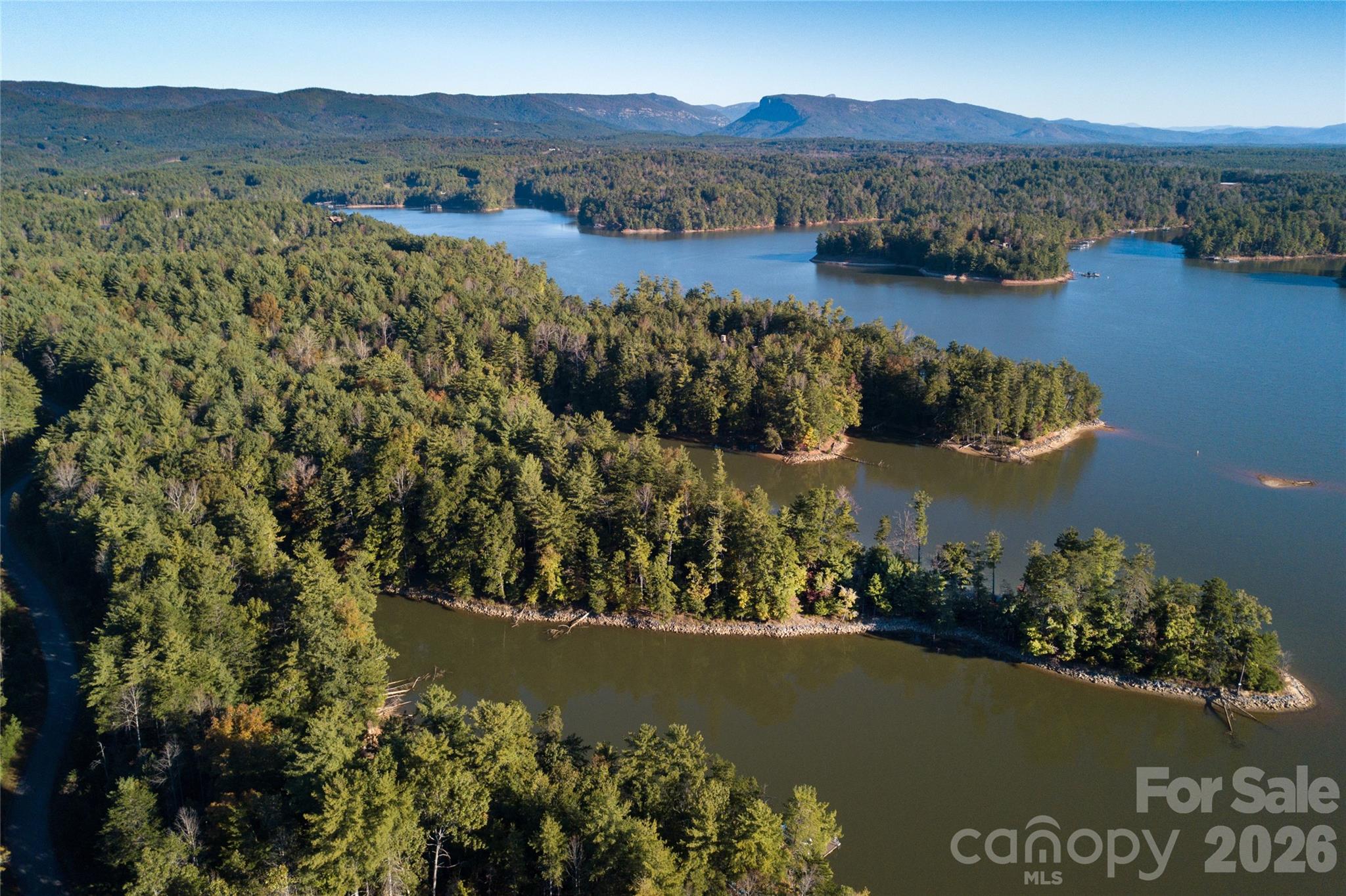 Old Wildlife Club - Land