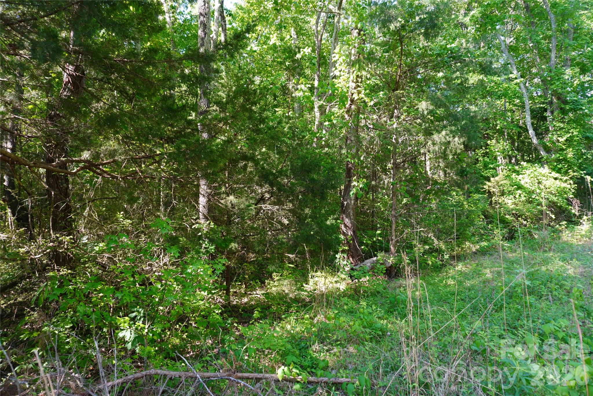 Mint Hill Estates - Land