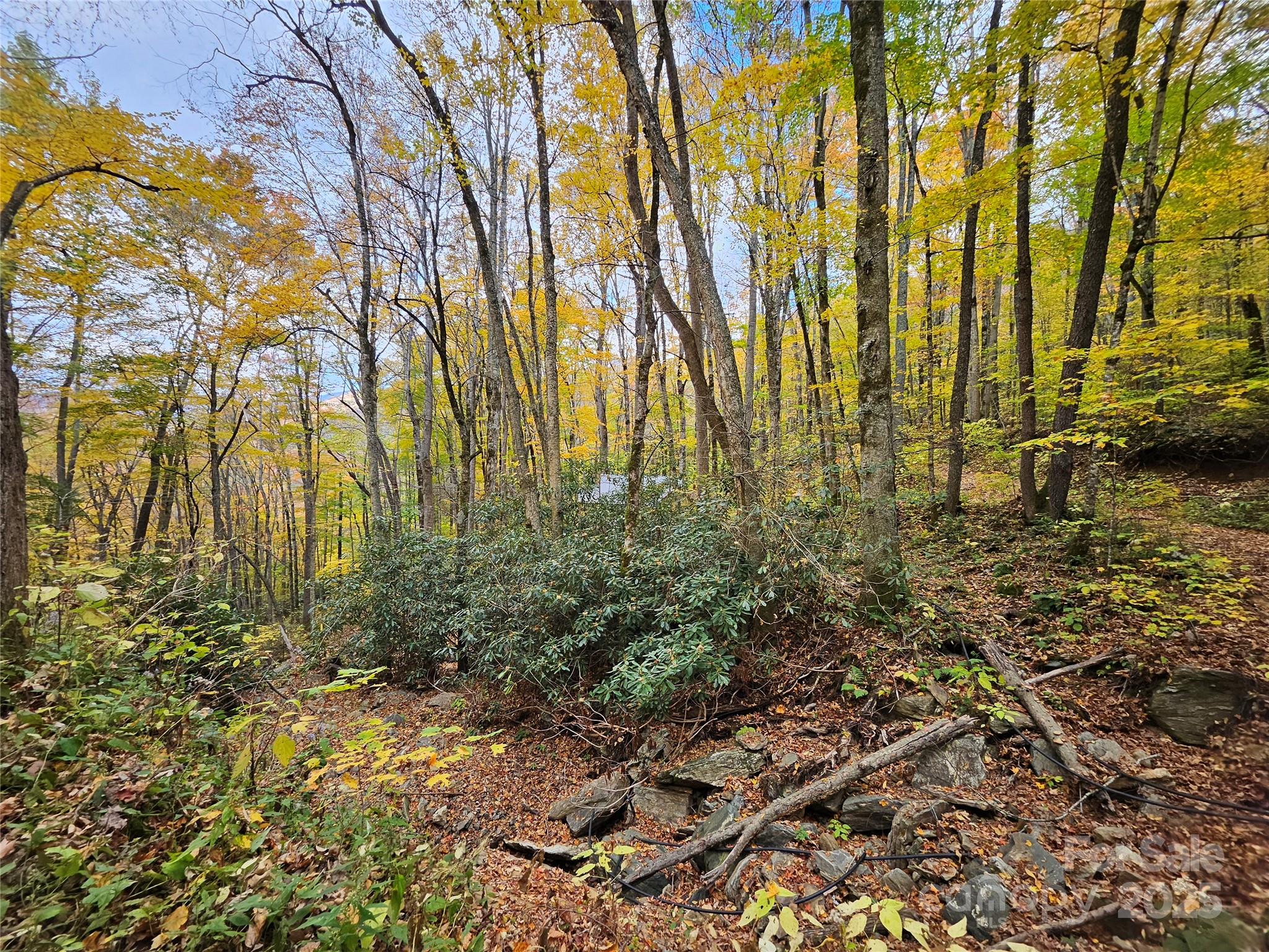 cattail creek - Residential