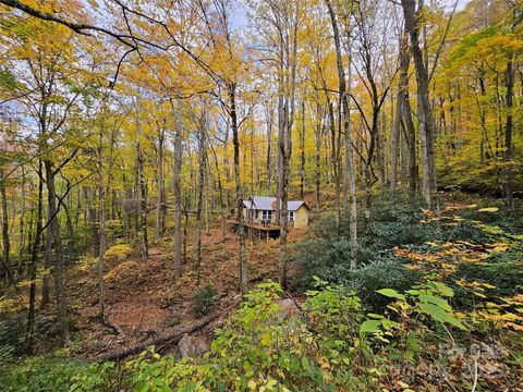 25 Hollow Log Road Burnsville NC 28714