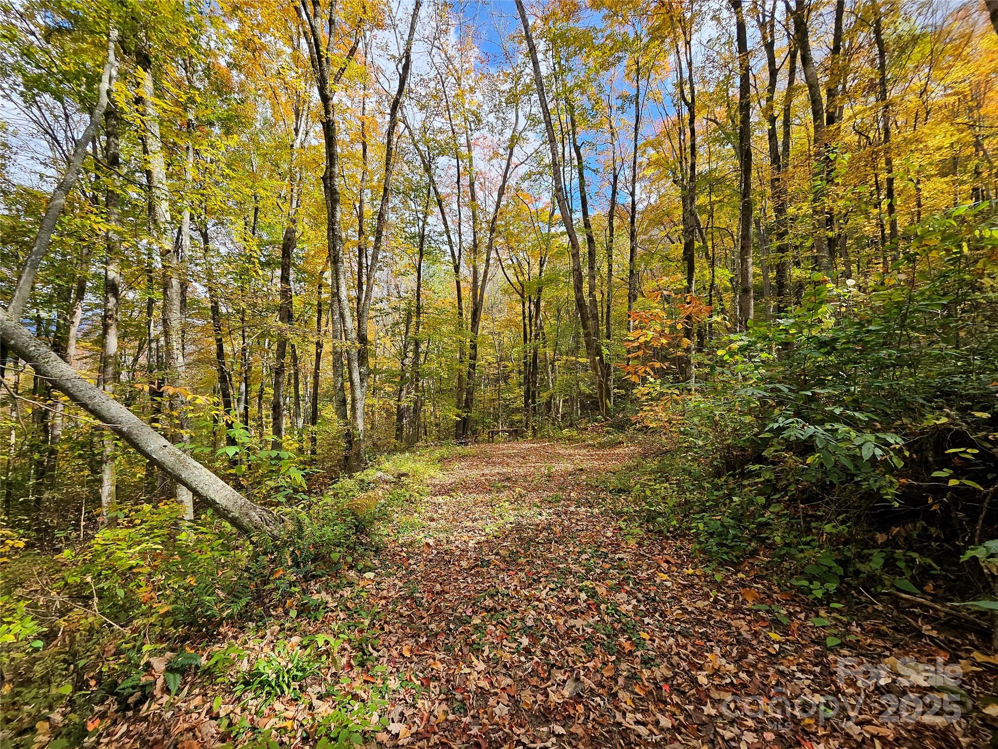 cattail creek - Residential
