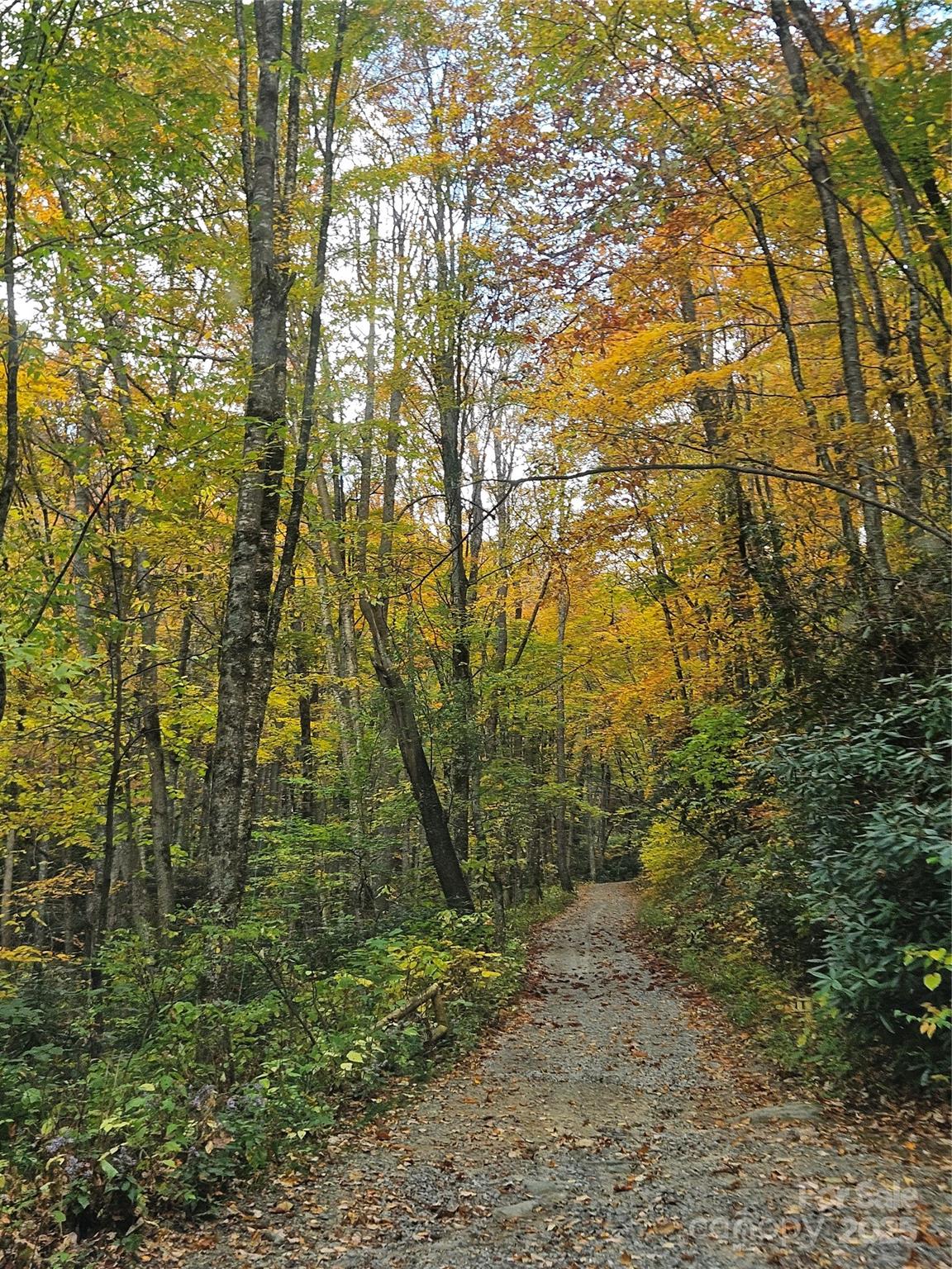cattail creek - Residential