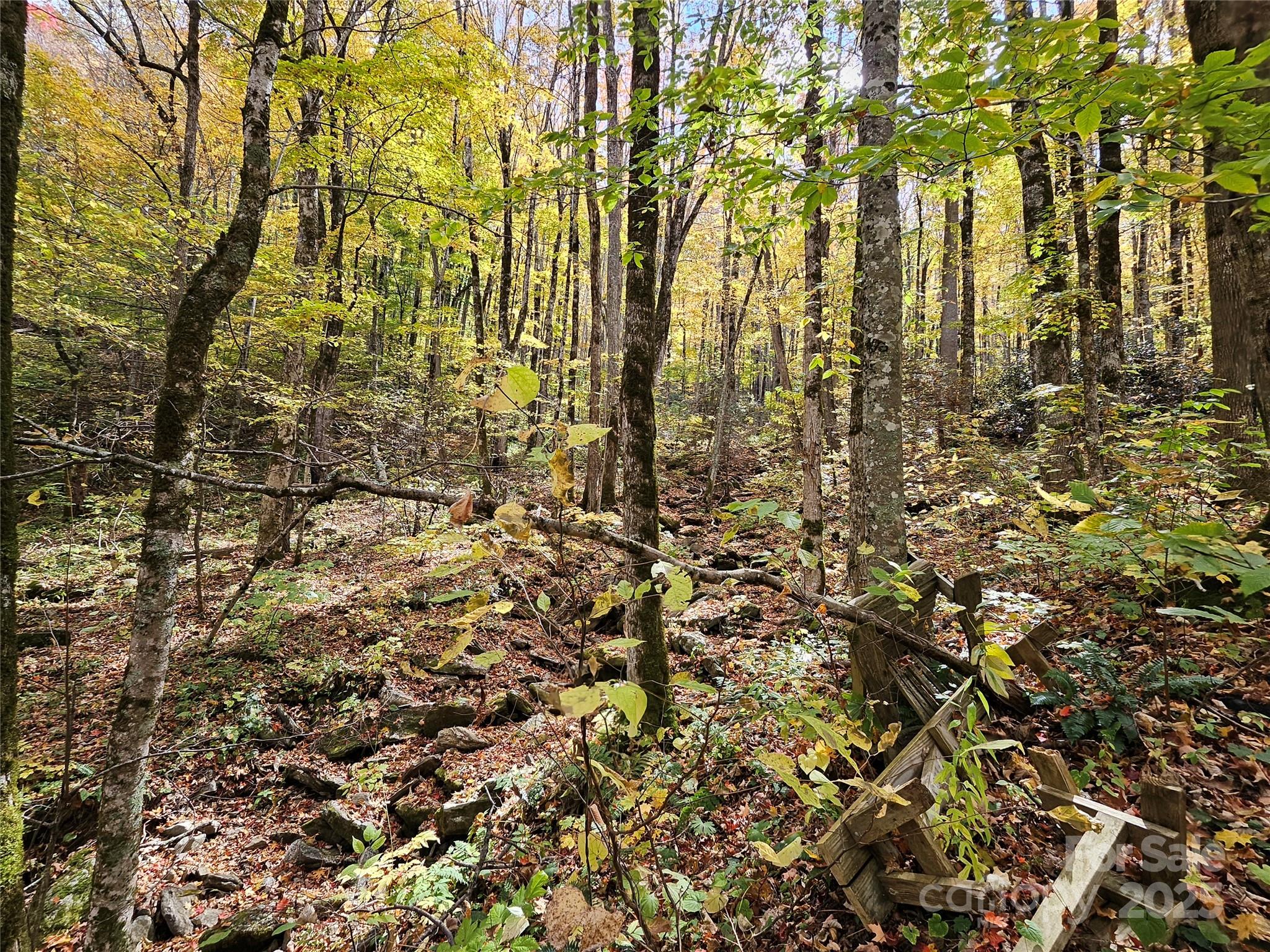 cattail creek - Residential