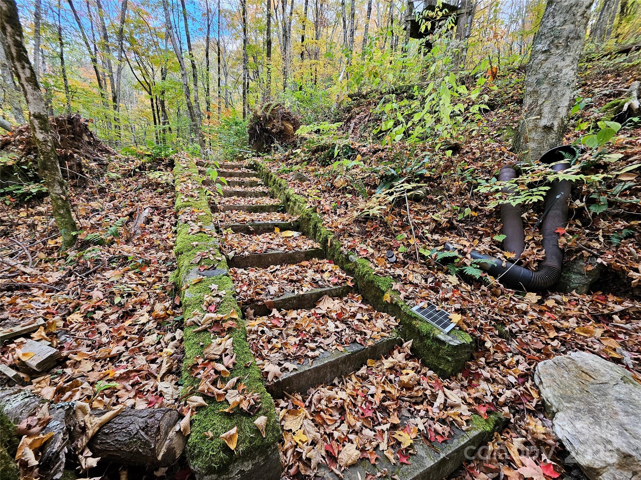 cattail creek - Residential
