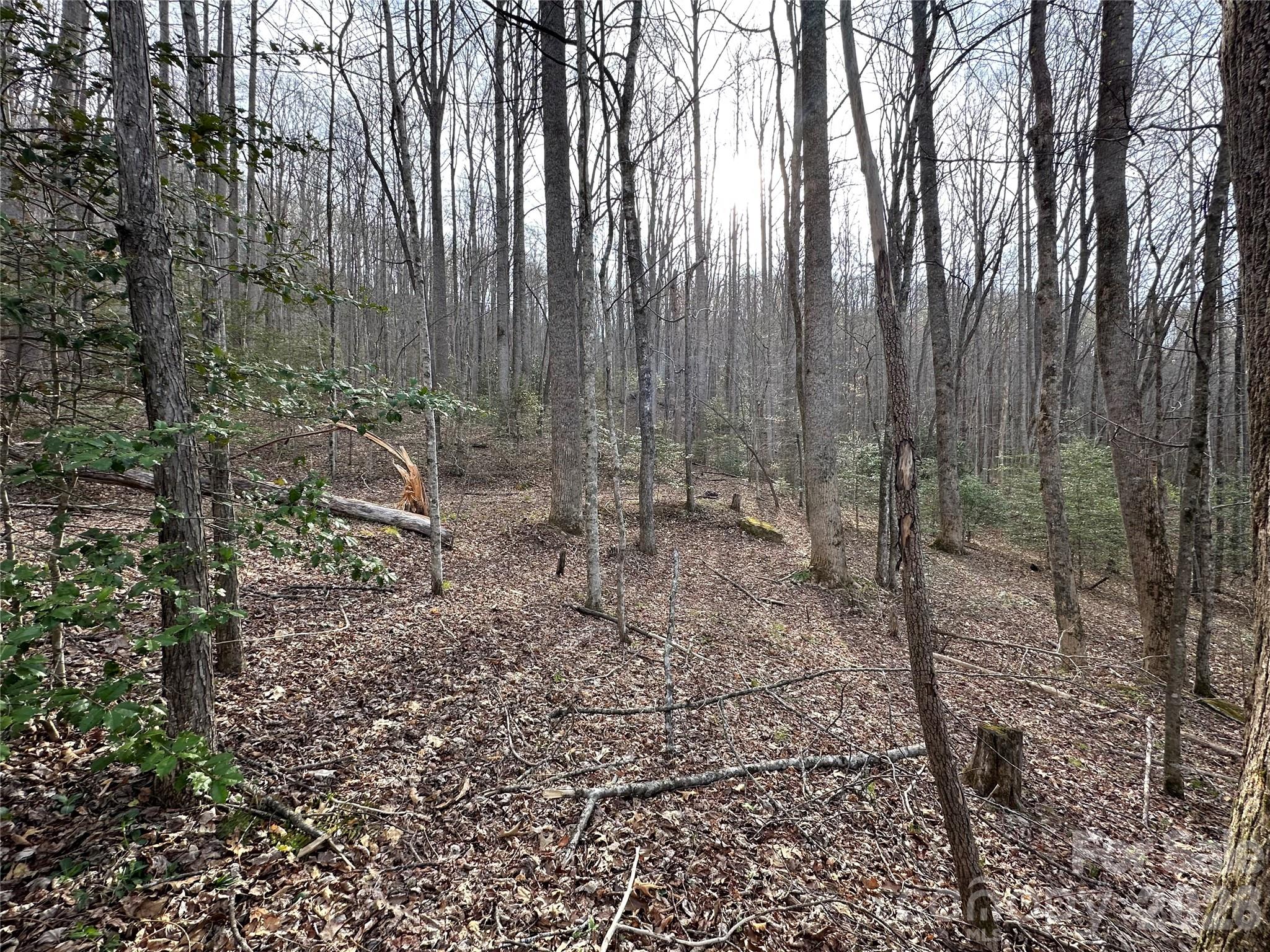 440 Holly Falls Lane