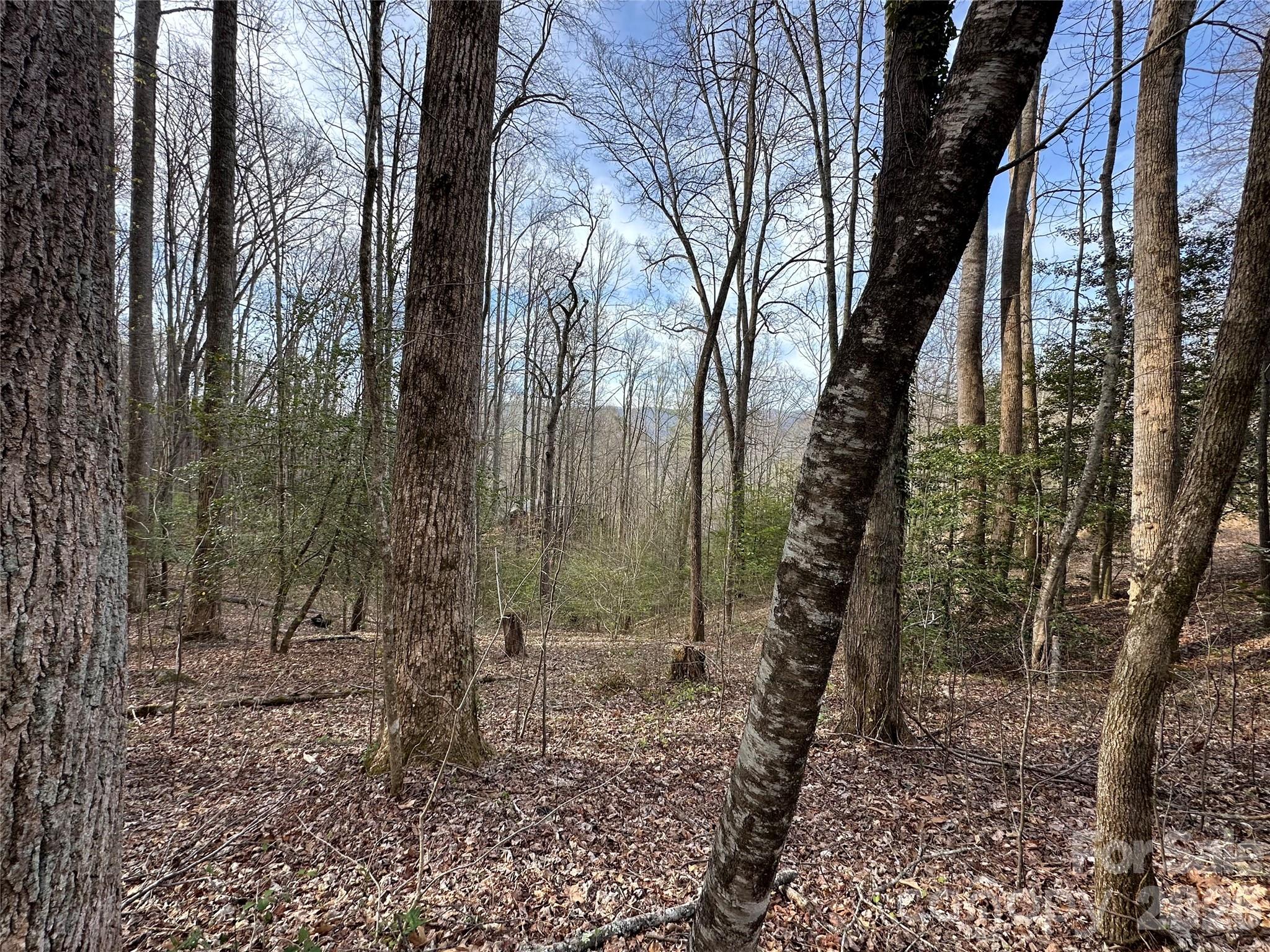 440 Holly Falls Lane