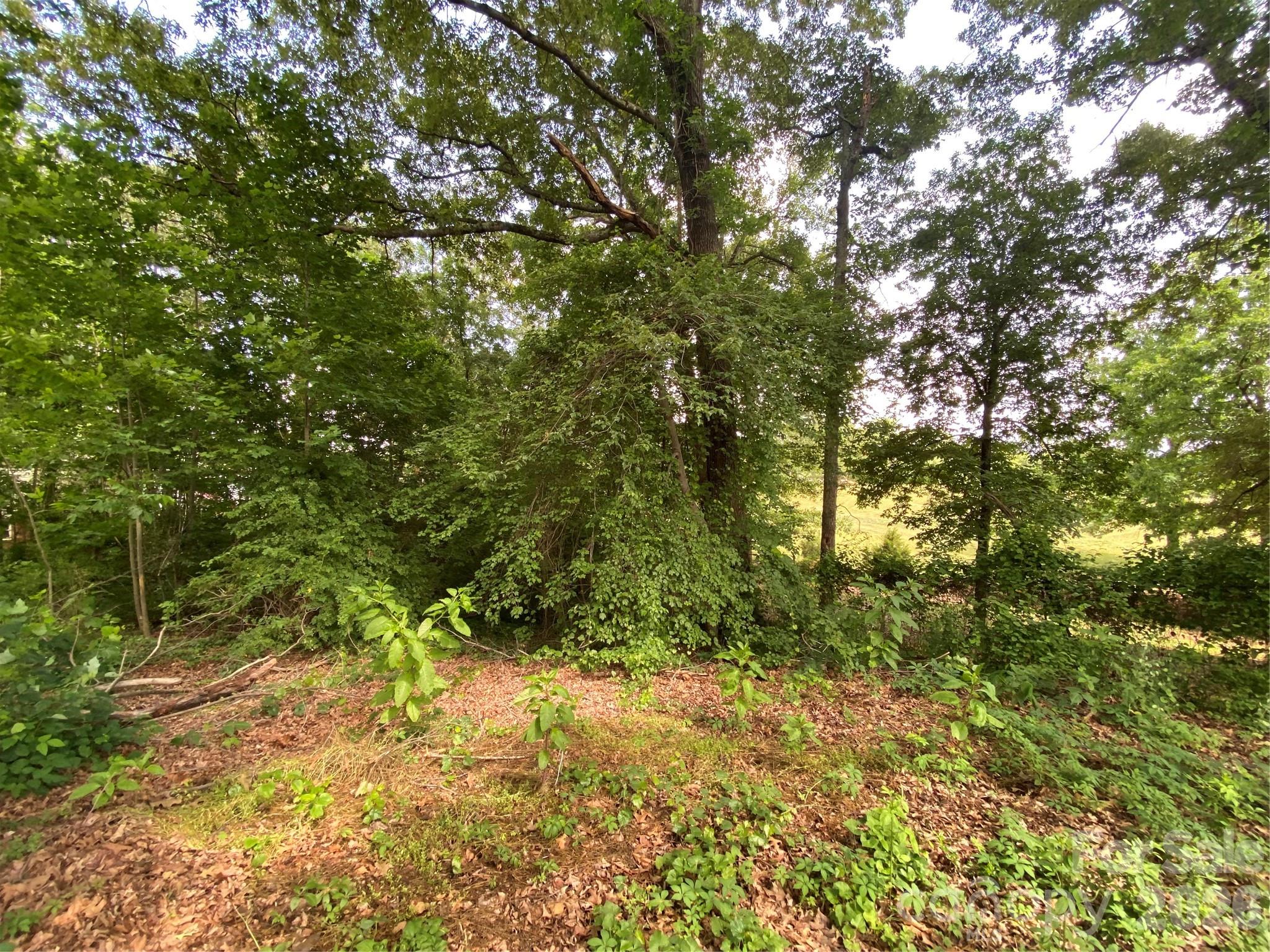 COLONIAL HEIGHTS - Land