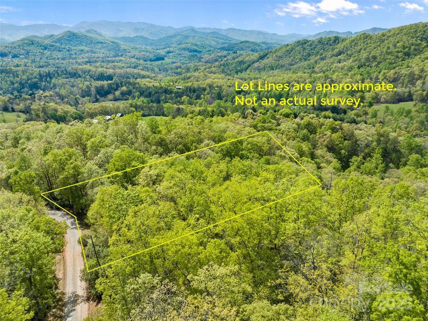 Gorgeous Views in Franklin! This lot has it all - spectacular views, area to build, secluded neighborhood, HOA maintained road, expired 3 bdrm septic permit, and adjacent to the USFS. Minutes away from downtown Franklin, shopping, hiking, dining, breweries, gem mining, and other activities. HOA is $150/year for vacant lots; once house is built HOA goes up to $350/year.