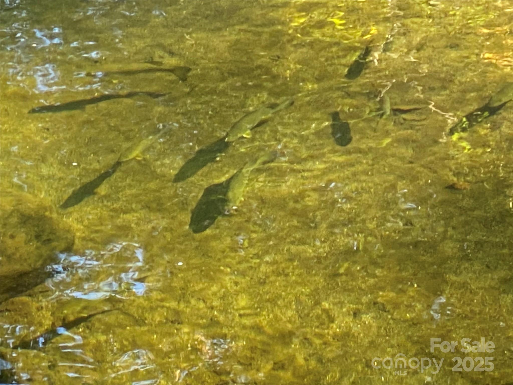 Tract 1 Hill Top Drive