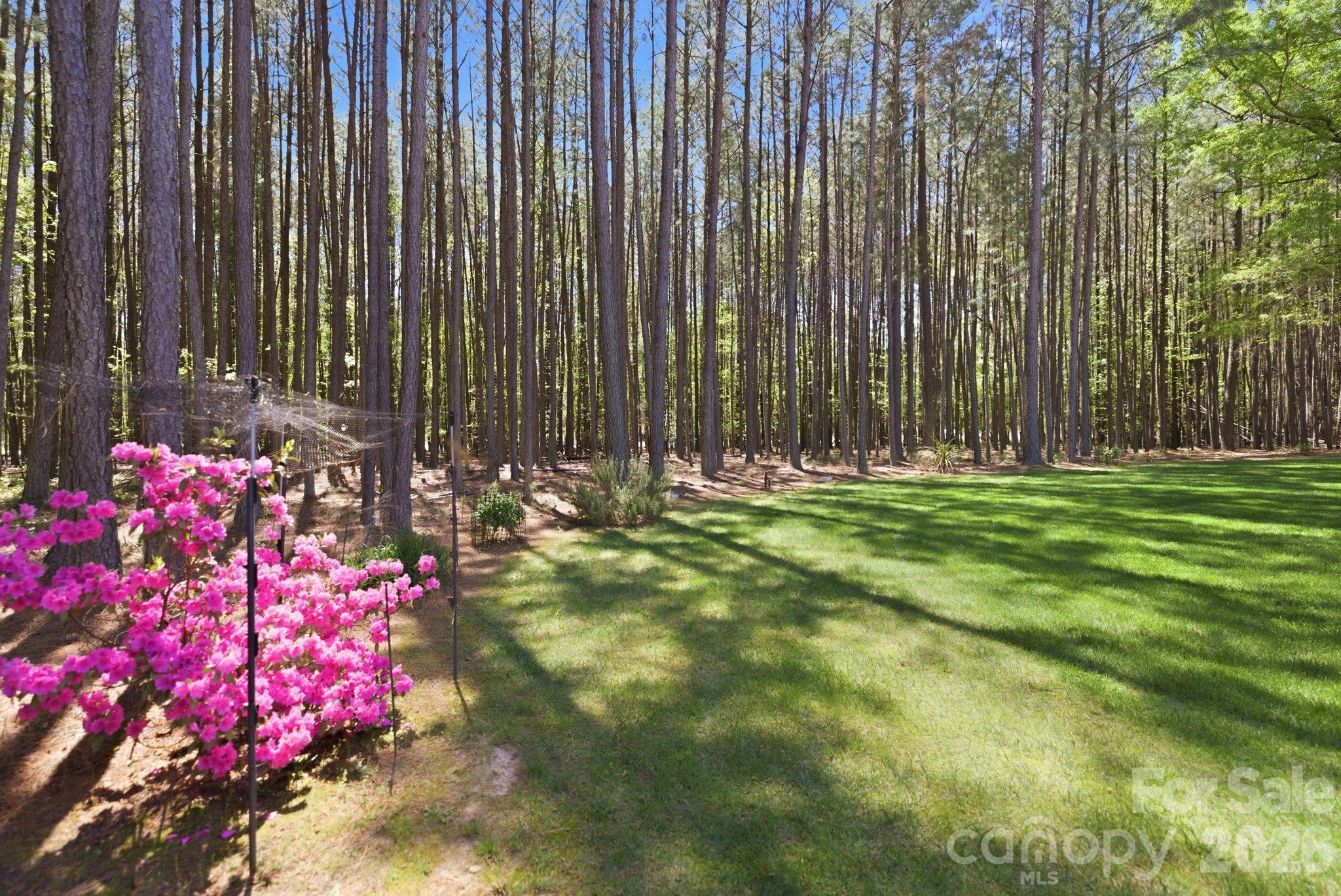 Flying Eagle Estates - Residential