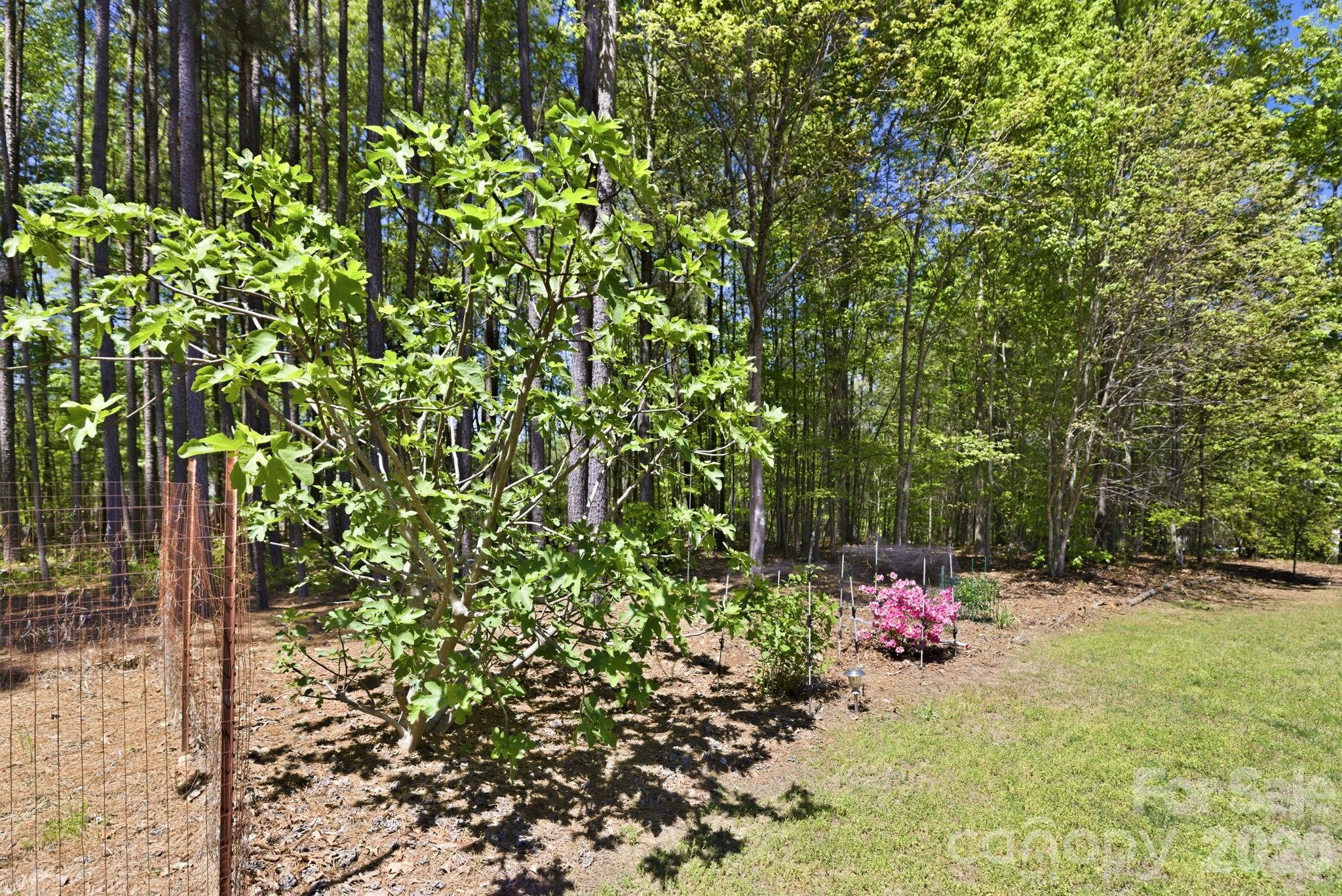 Flying Eagle Estates - Residential