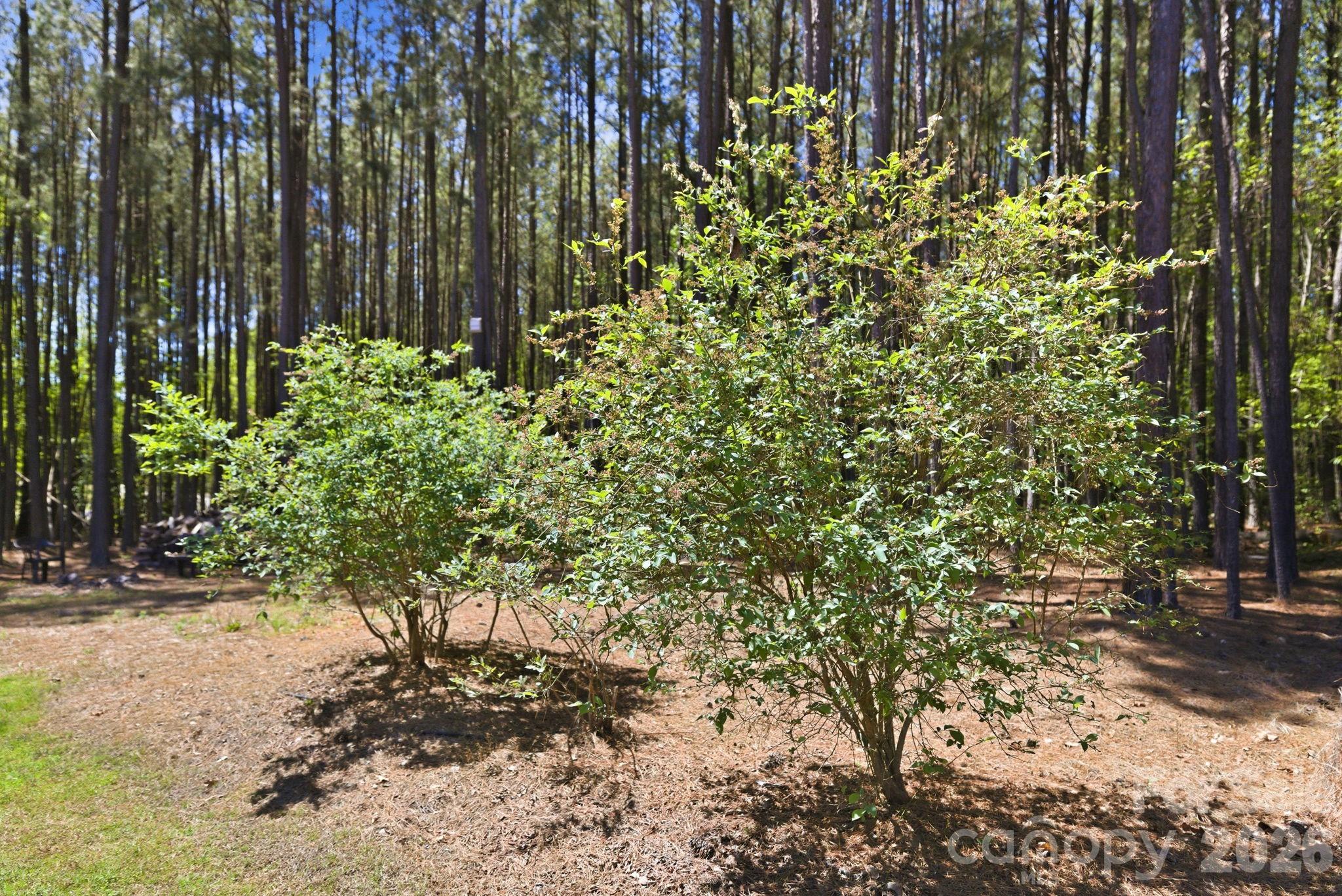 Flying Eagle Estates - Residential