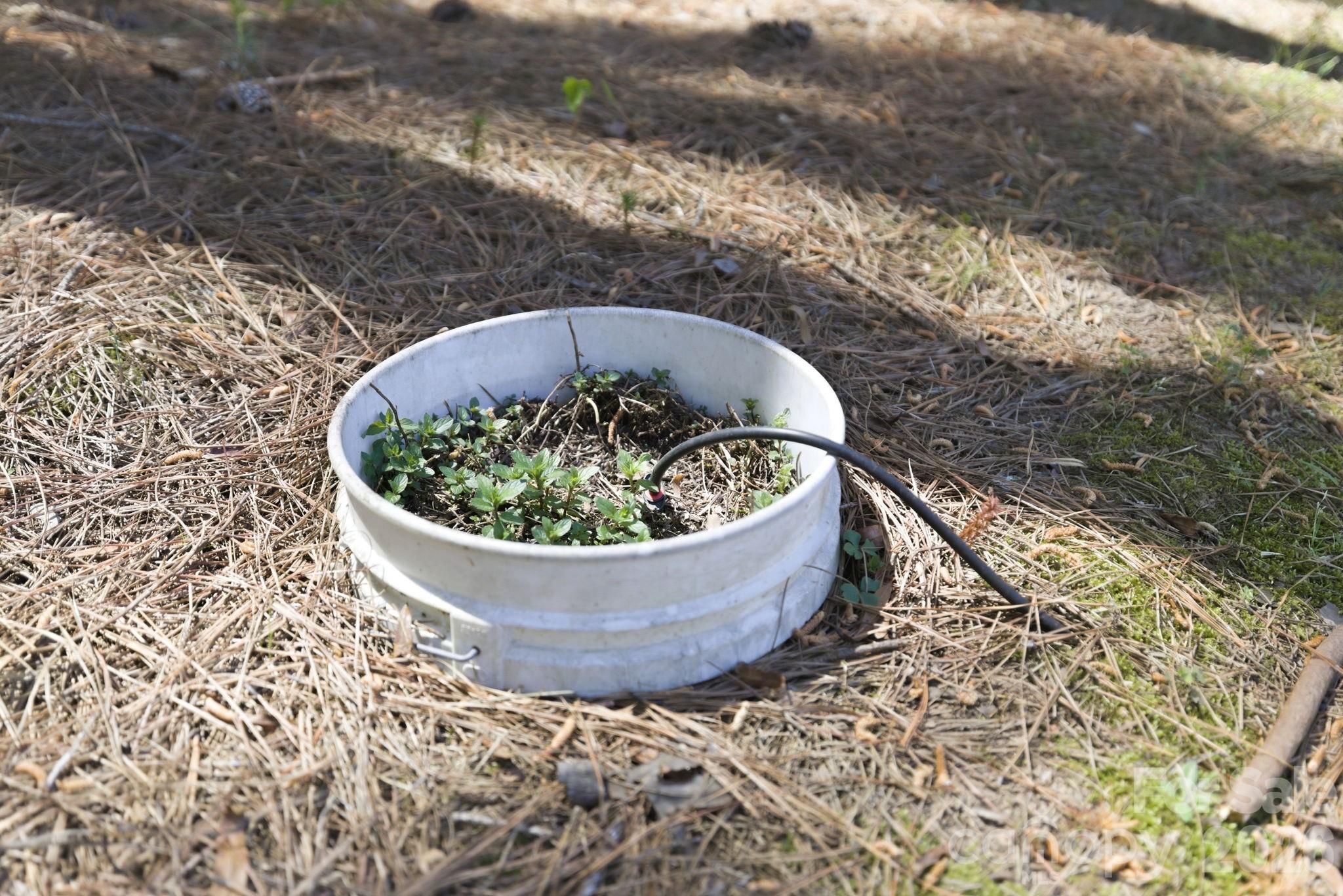 Flying Eagle Estates - Residential