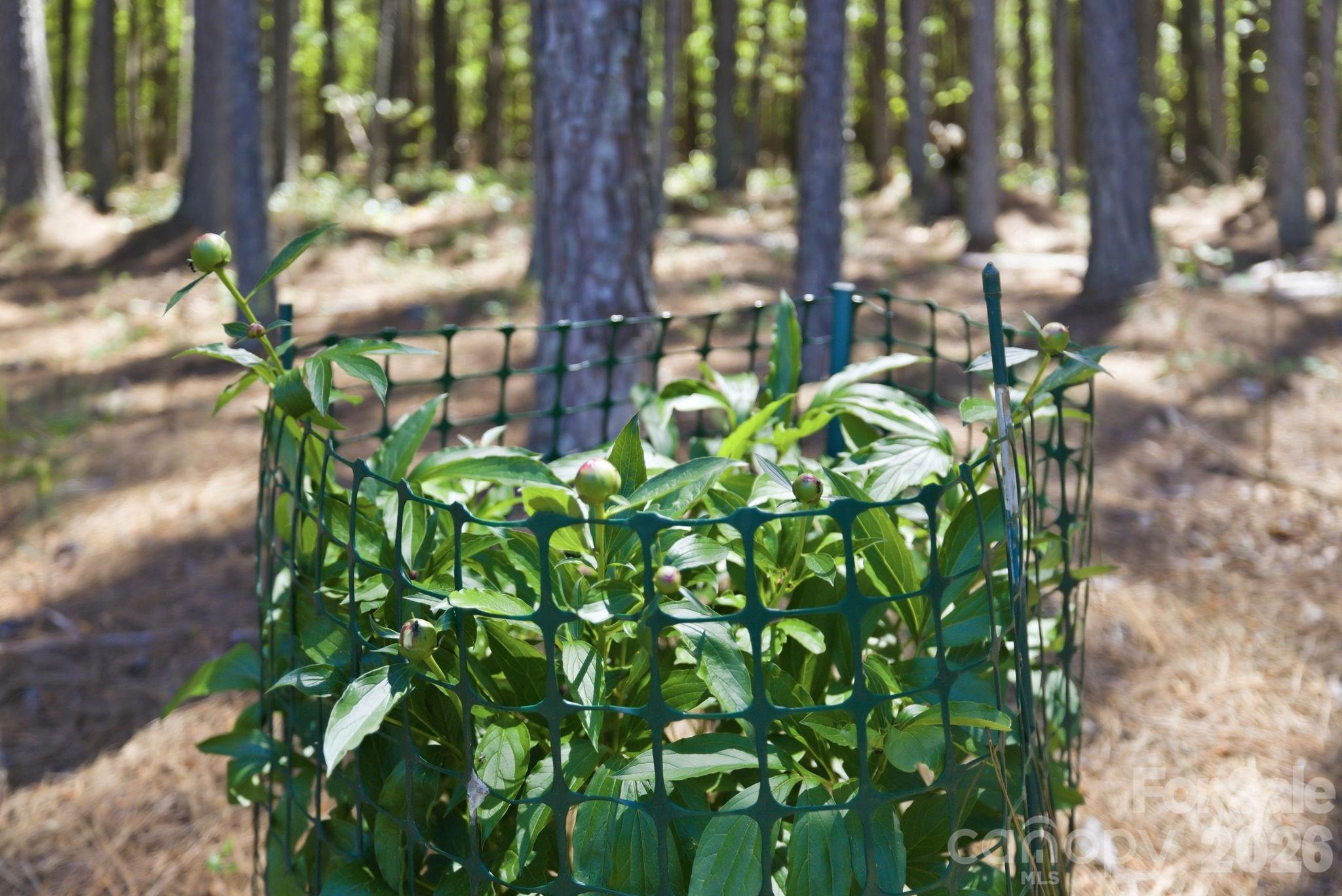 Flying Eagle Estates - Residential