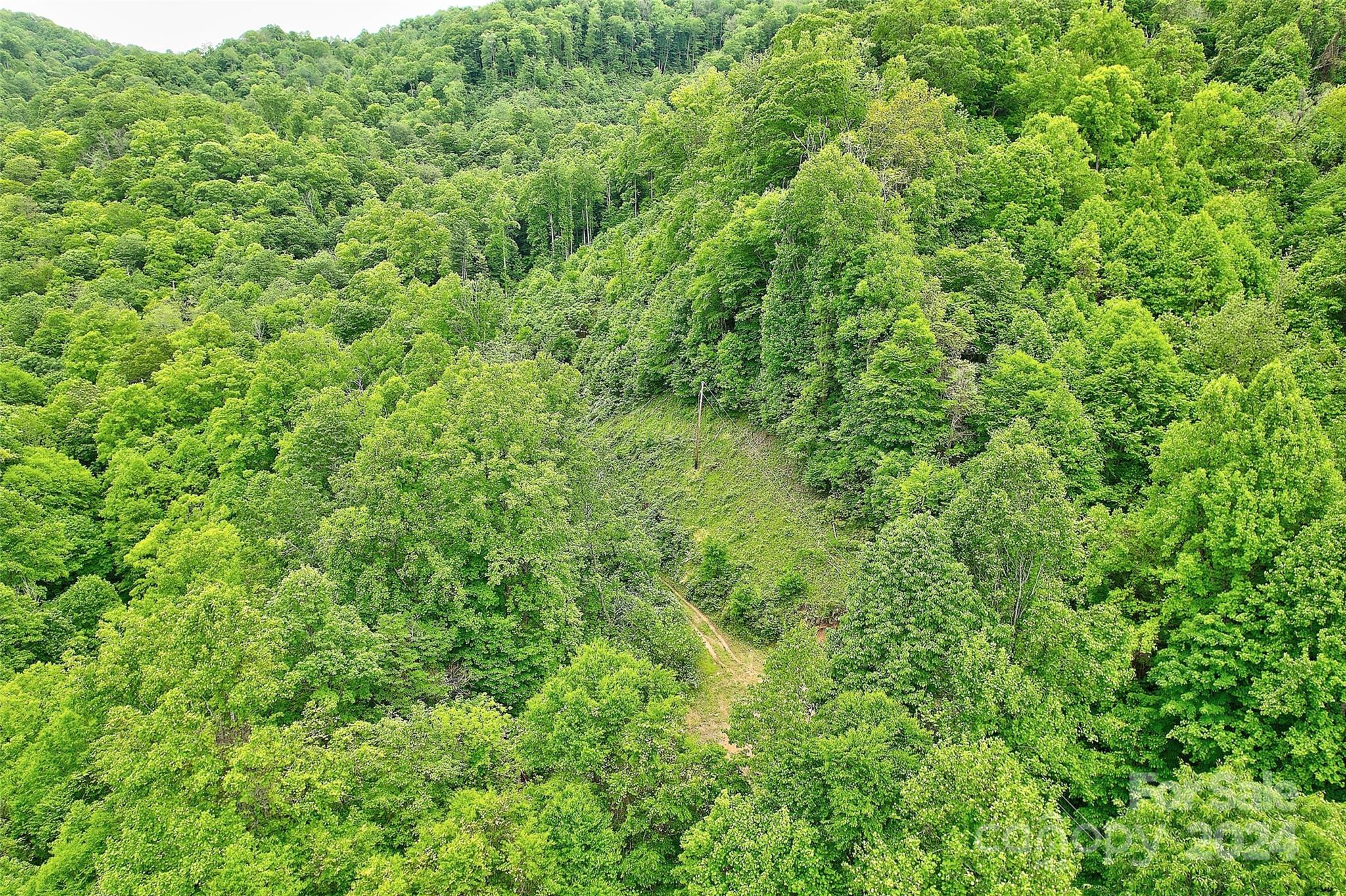 3830-B Hamburg Road