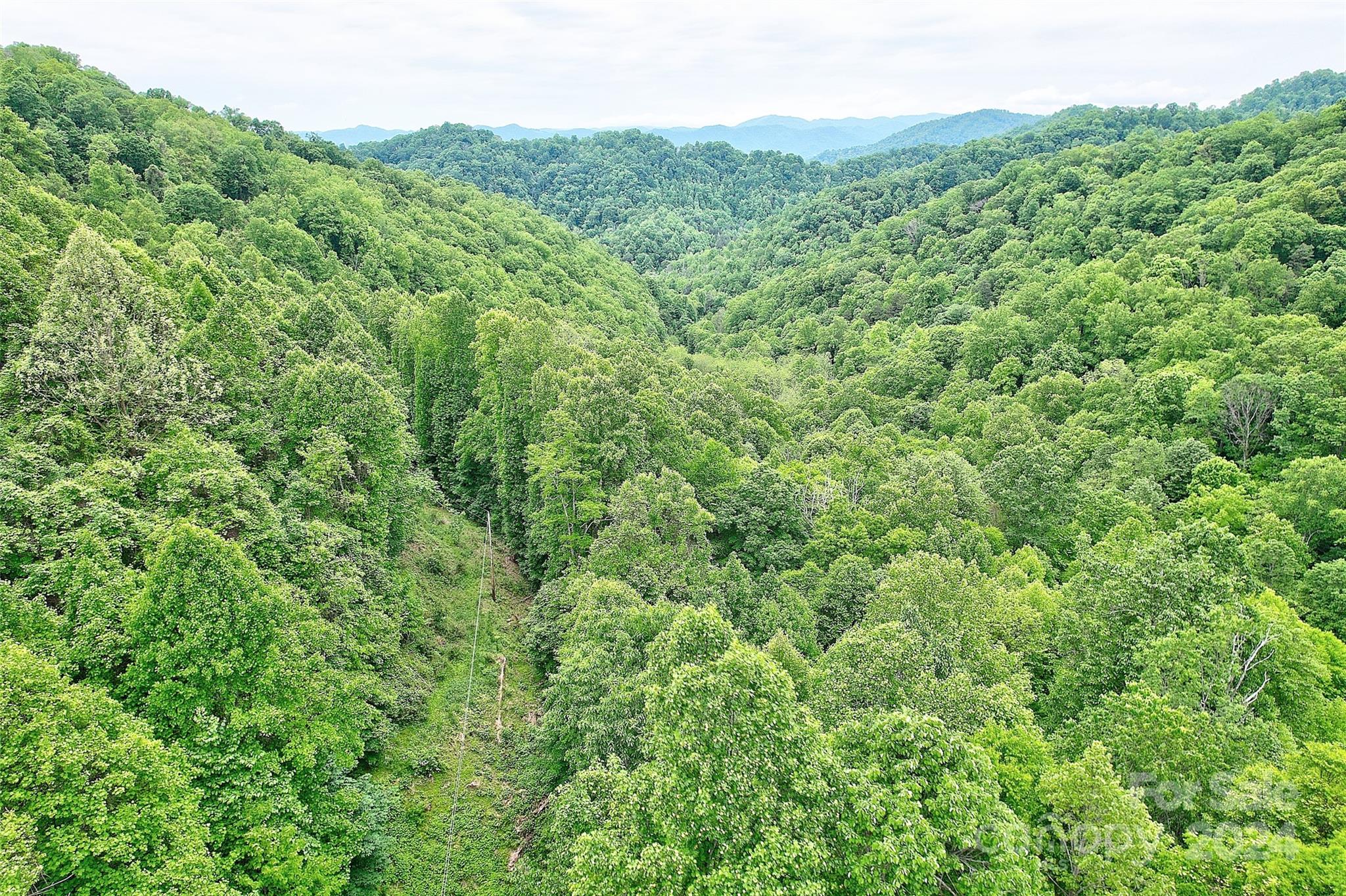 3830-B Hamburg Road