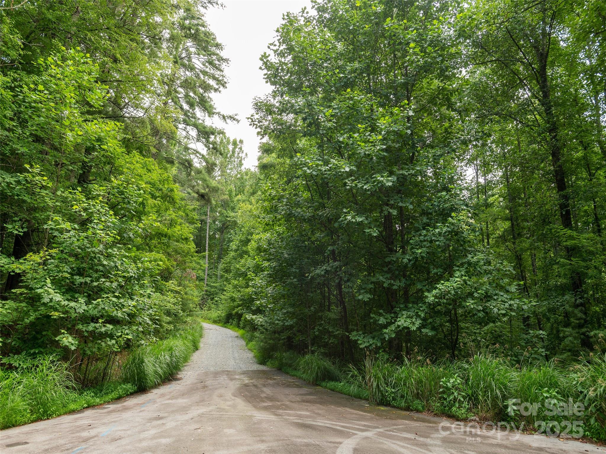 Willow Brook Falls - Land