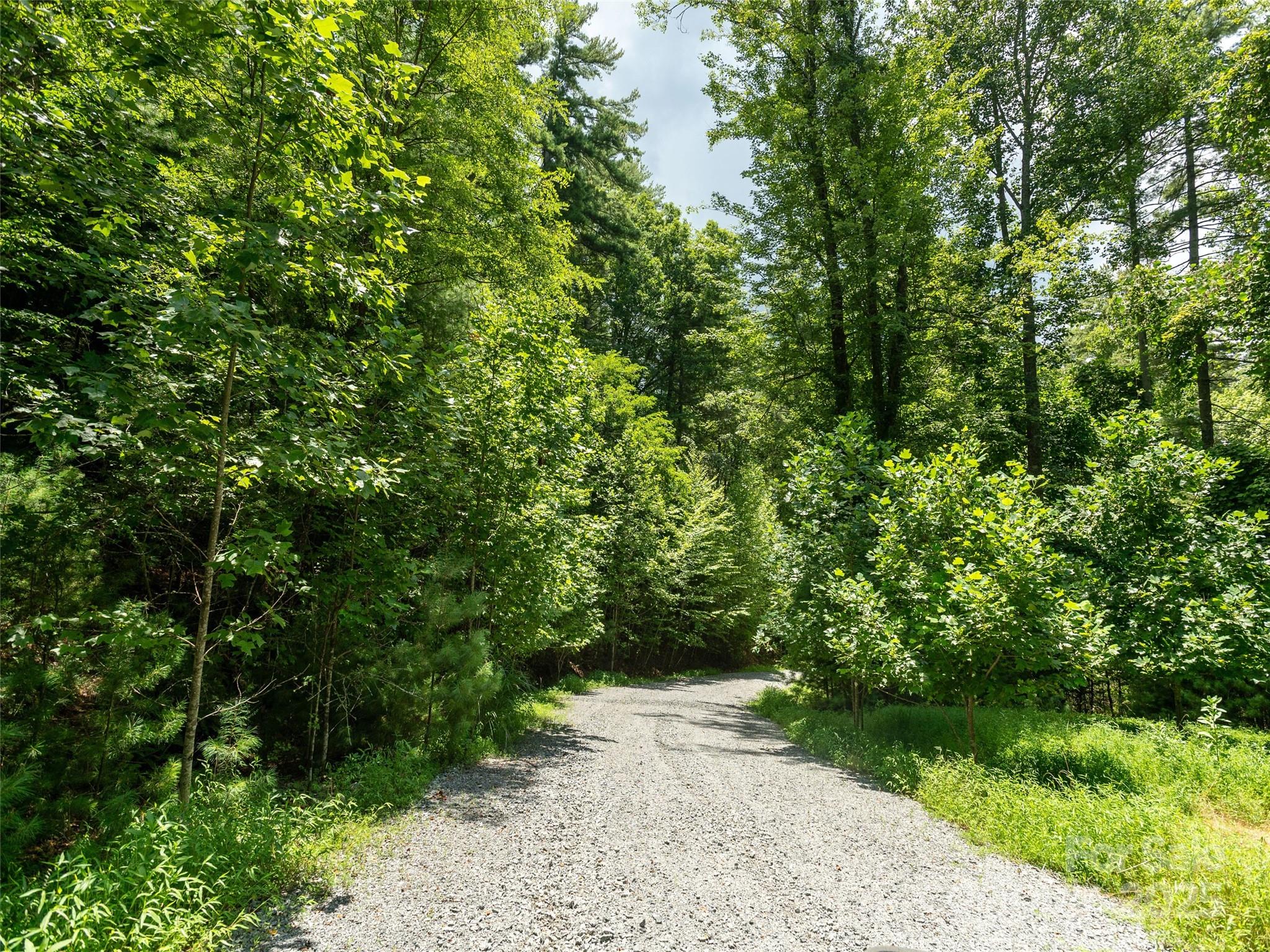Willow Brook Falls - Land