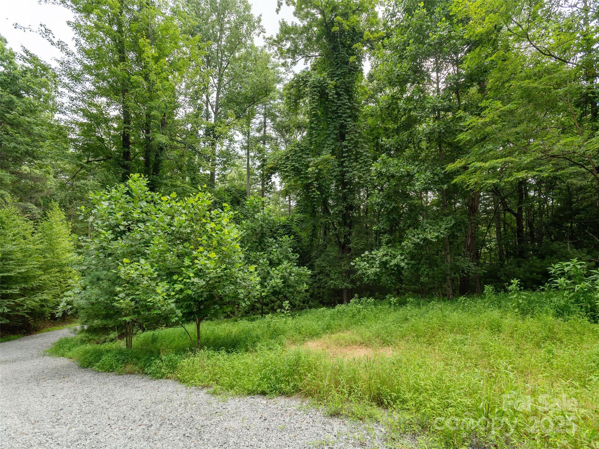 Willow Brook Falls - Land