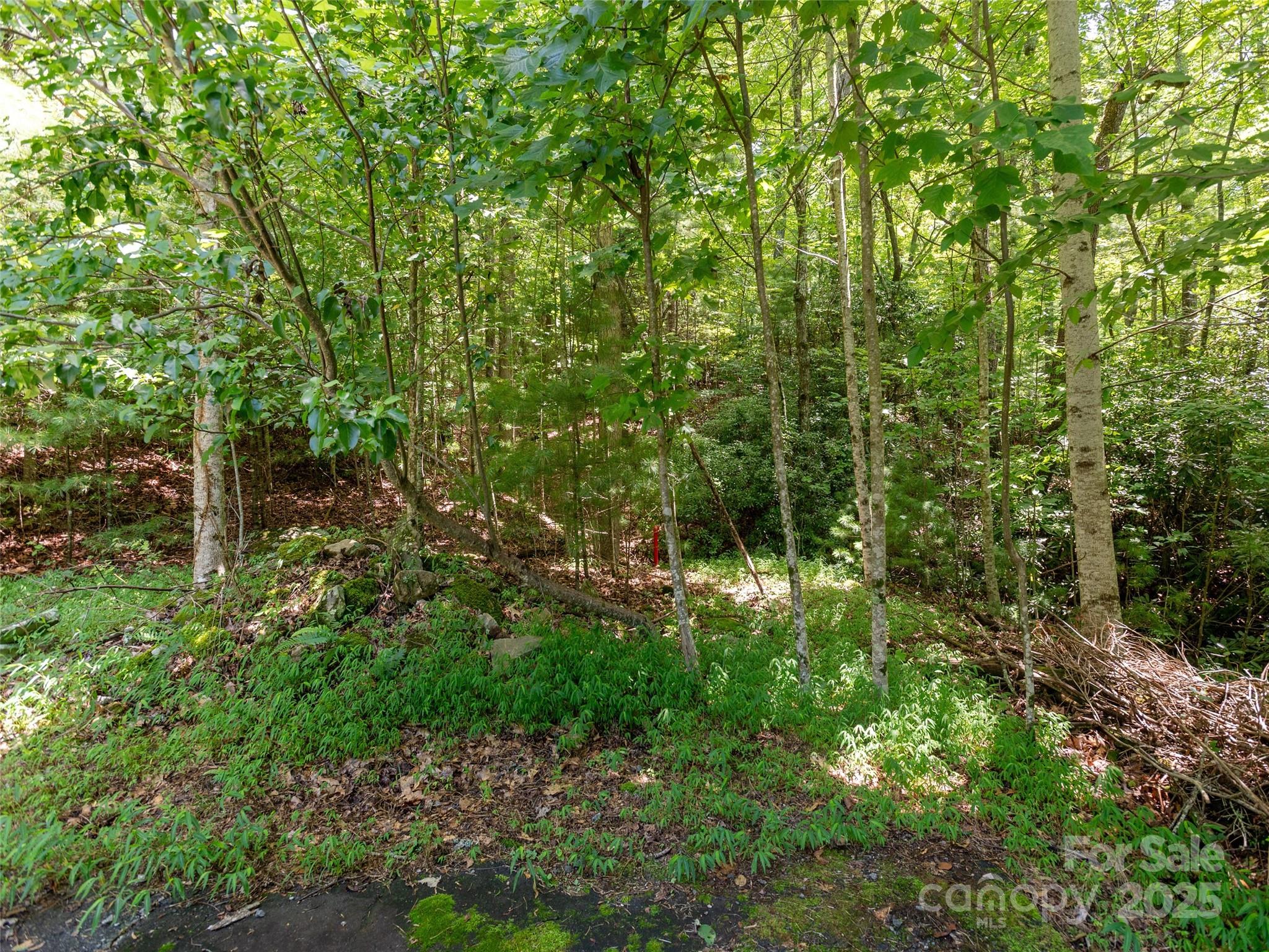 Willow Brook Falls - Land