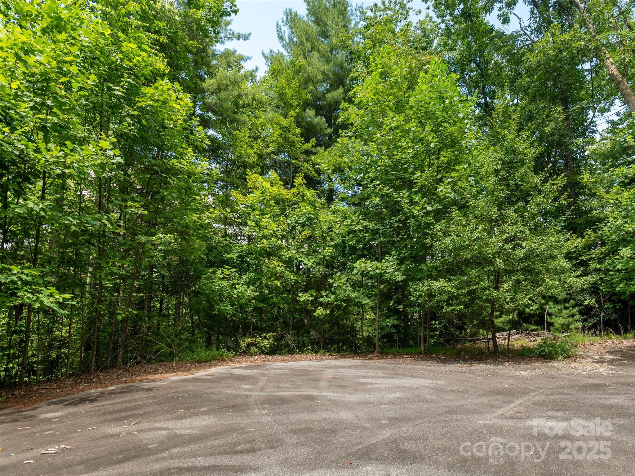 Willow Brook Falls - Land