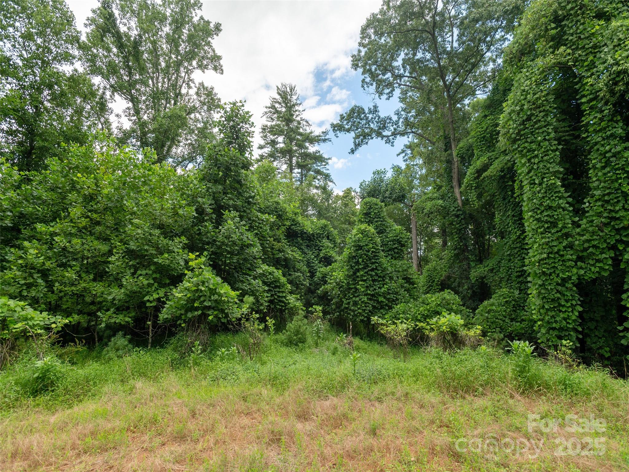 0 Willow Brook Road