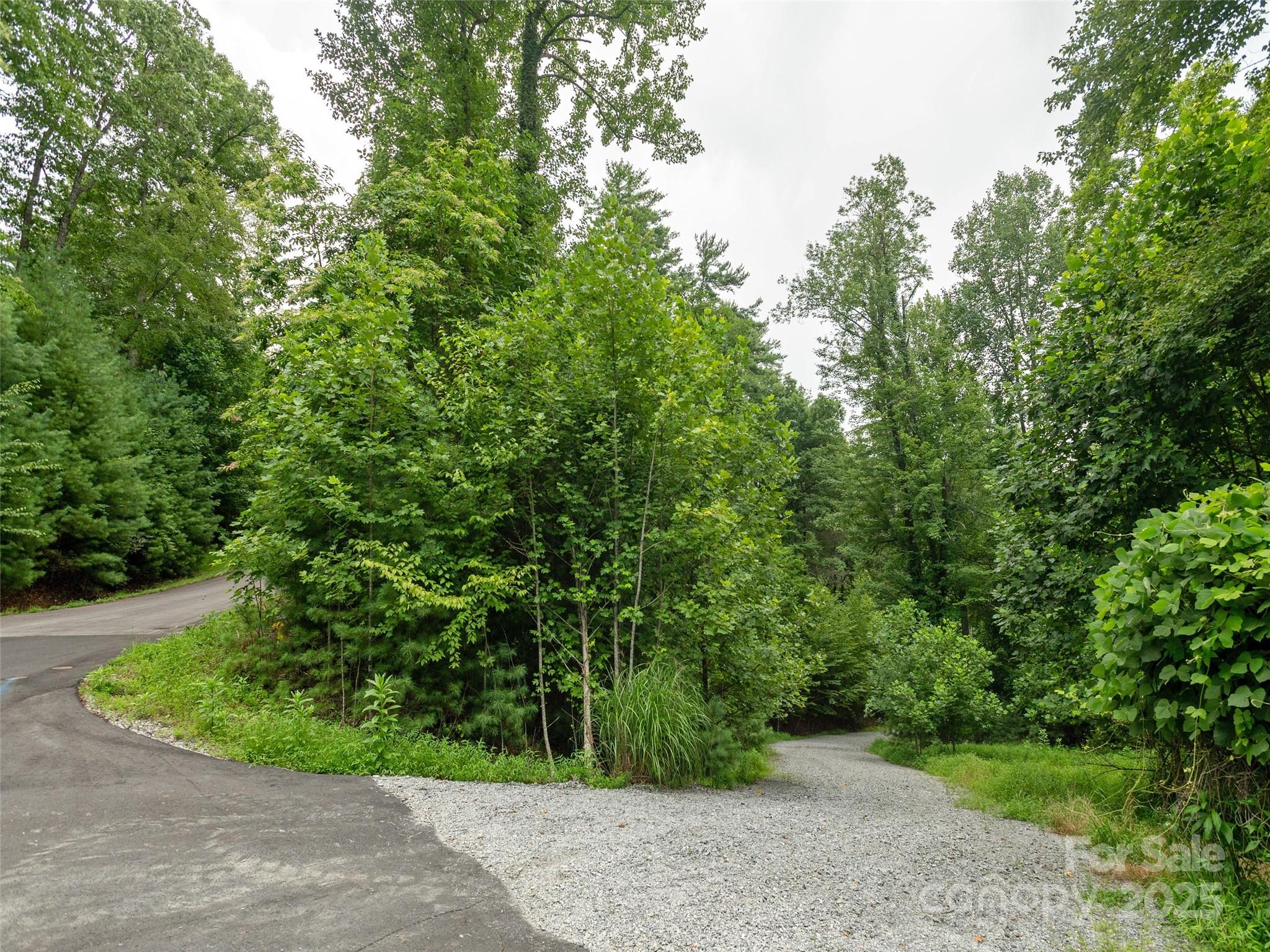 Willow Brook Falls - Land