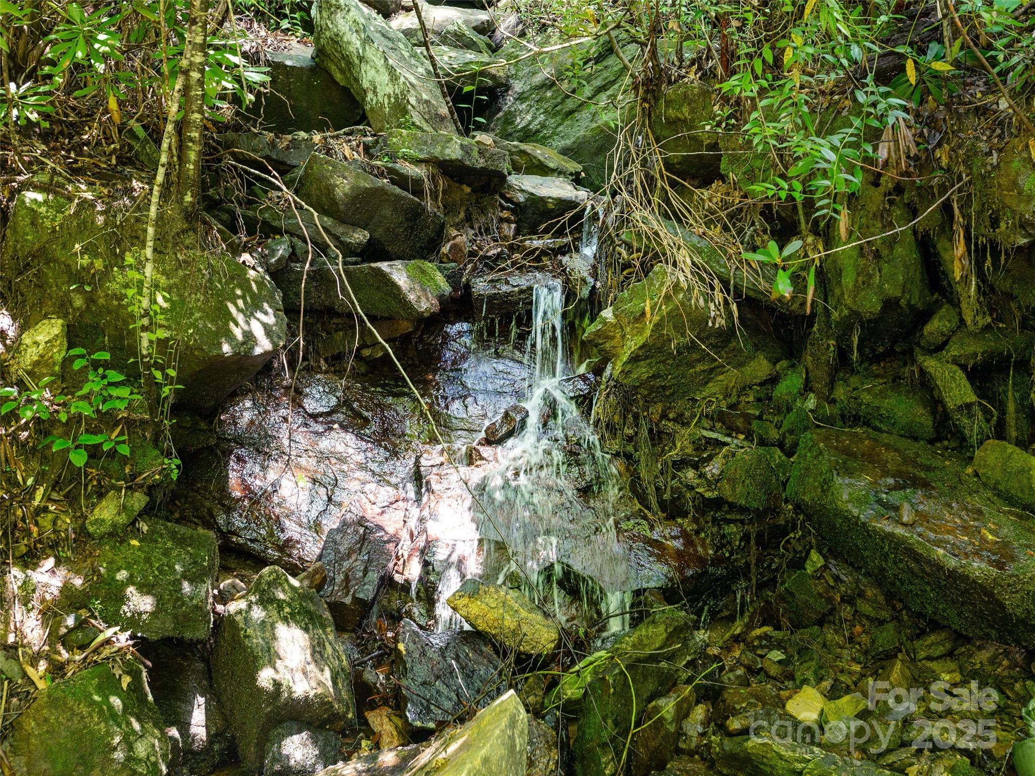 Willow Brook Falls - Land