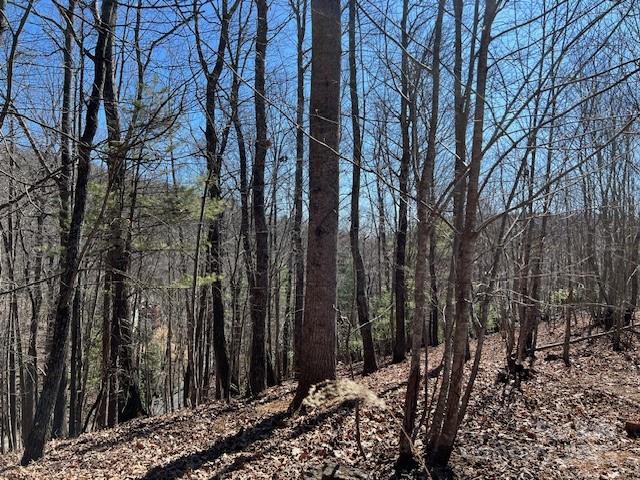 803254 Ivy Road 219