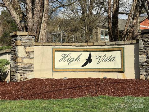 803254 Ivy Road 219 Mills River NC 28759