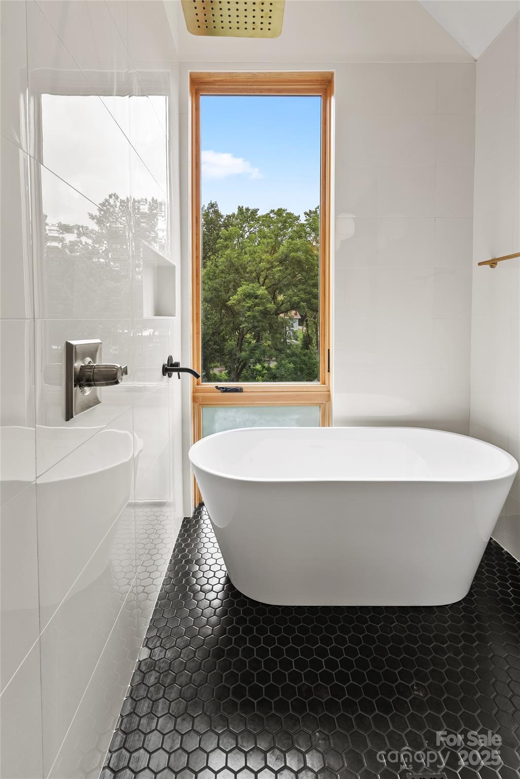 West Asheville - Residential