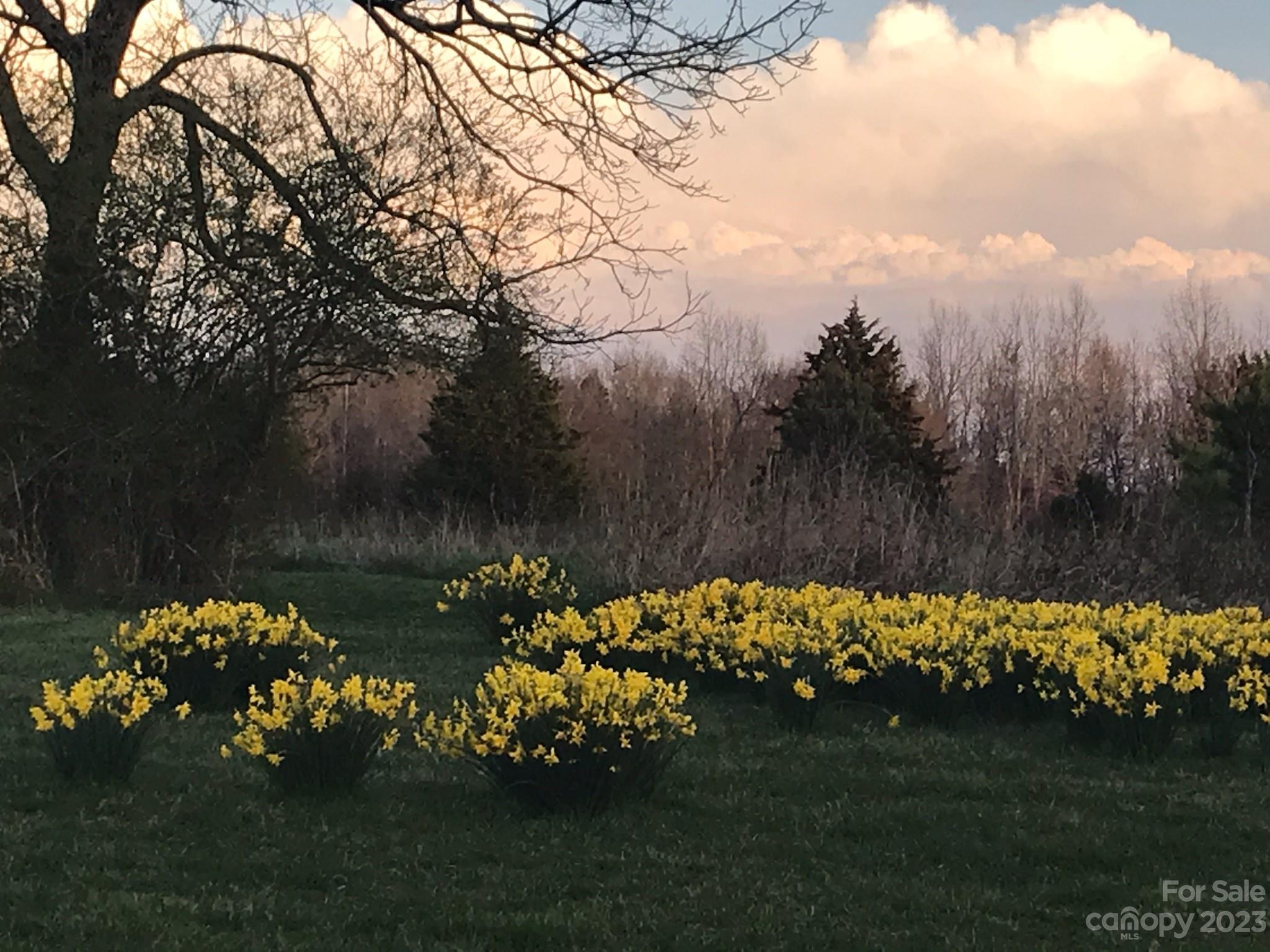 Lawson Farms - Residential