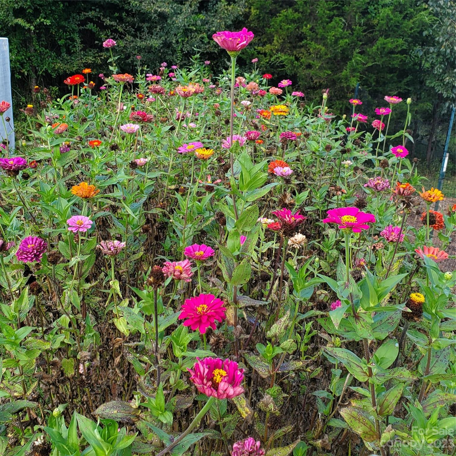 Lawson Farms - Residential