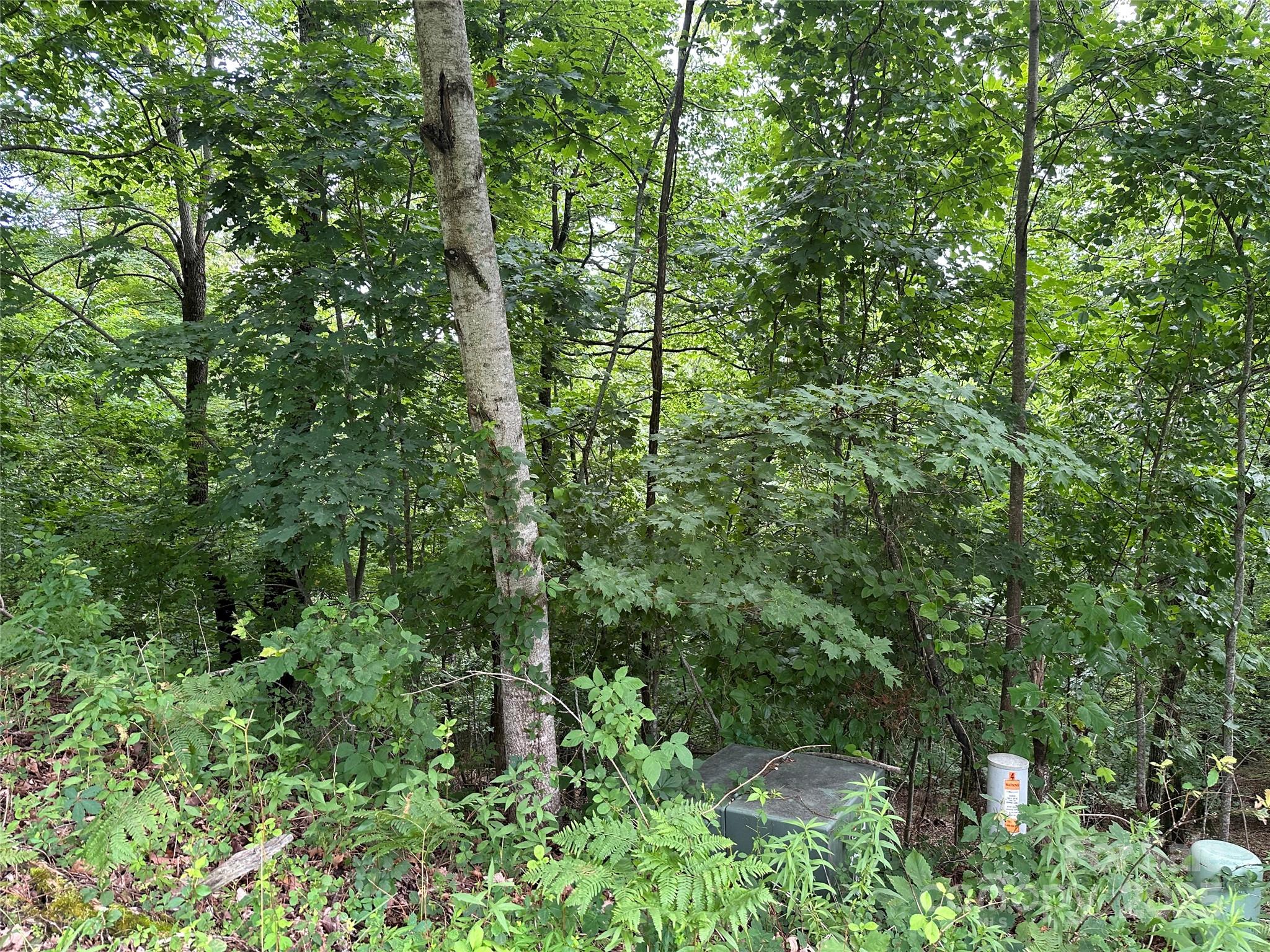 109 Ladys Fern Trail