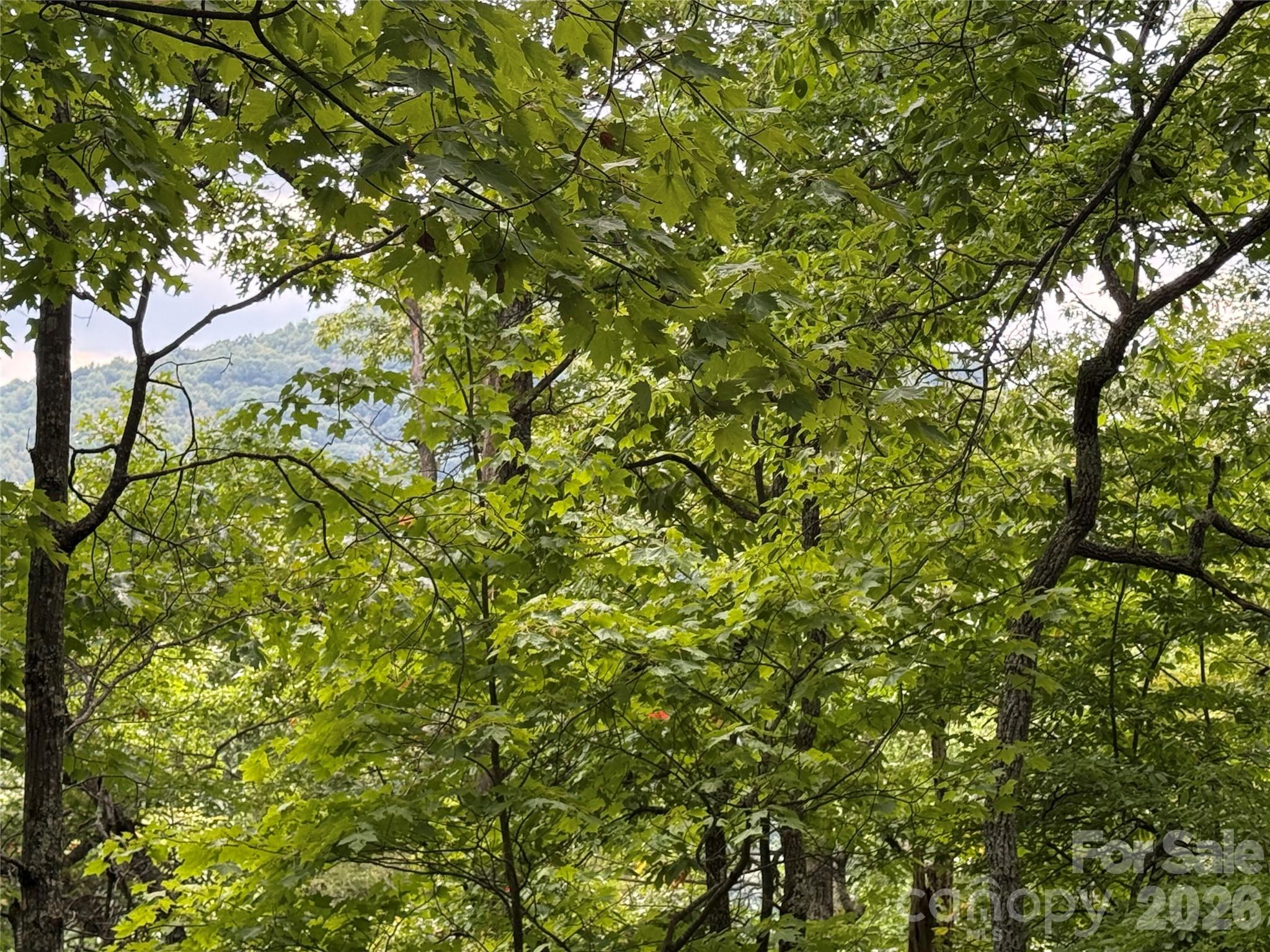 3315 Preserve Road 120