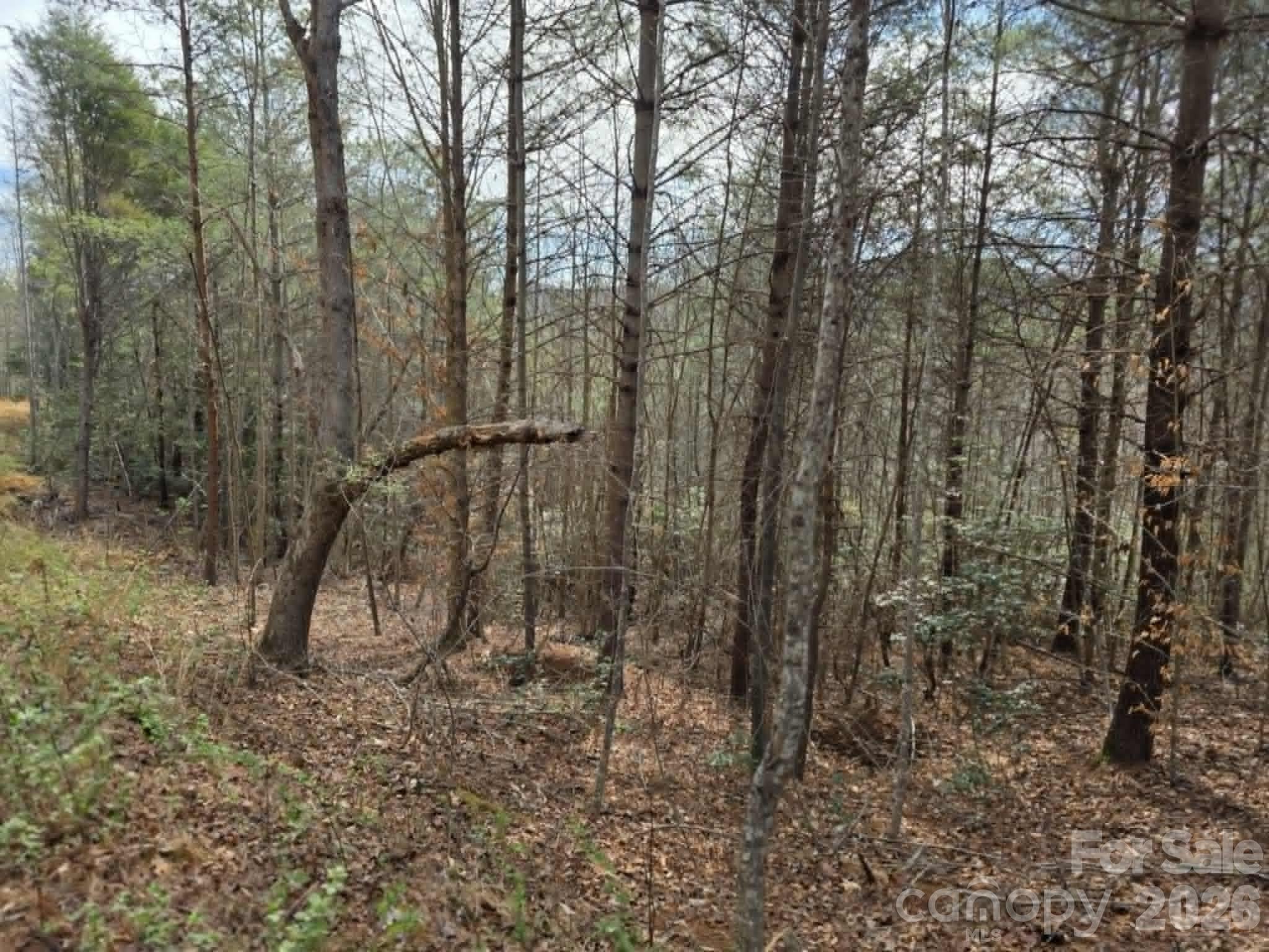 Lot 4 Kerlee Lane