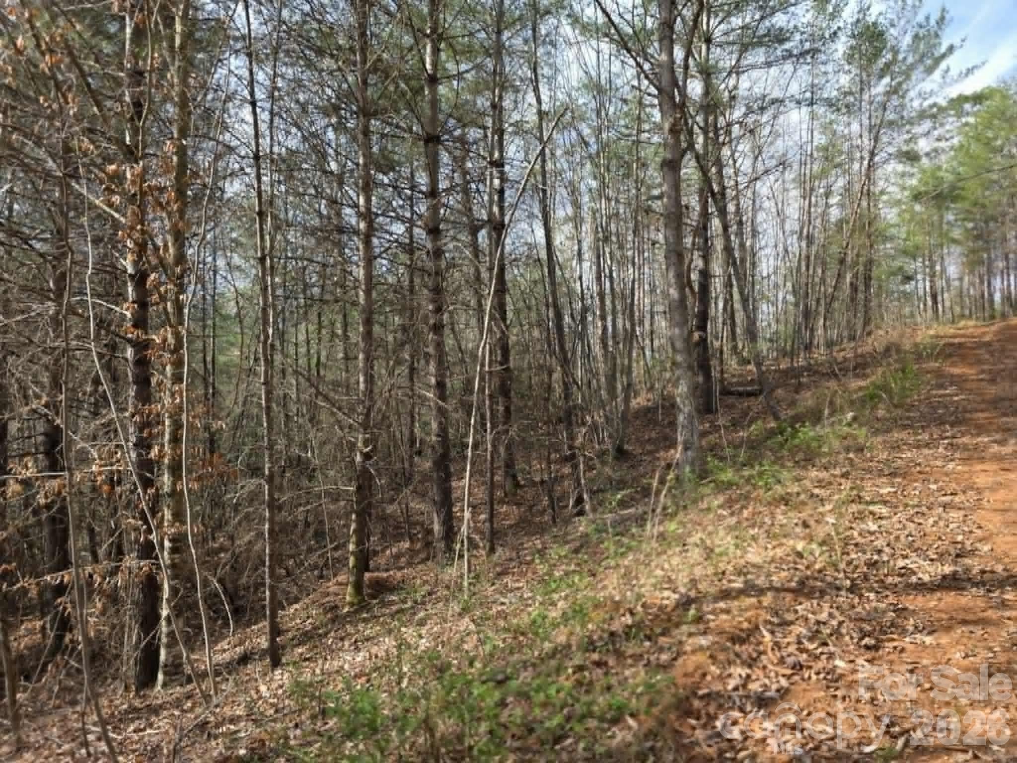 Lot 4 Kerlee Lane