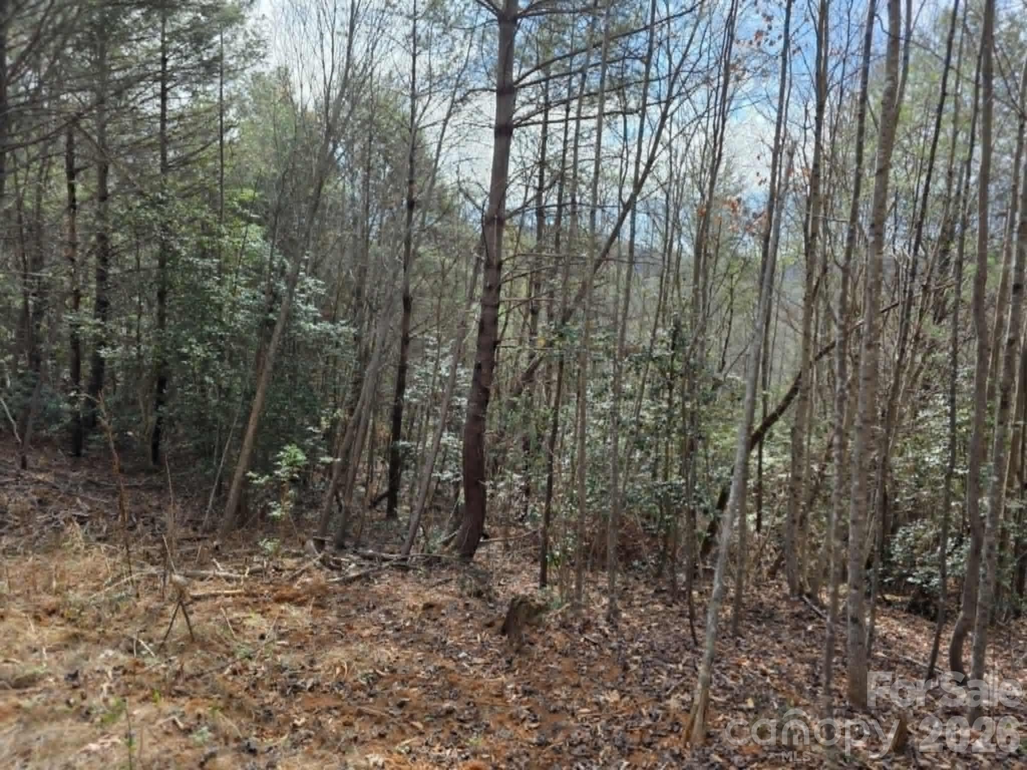 Lot 4 Kerlee Lane