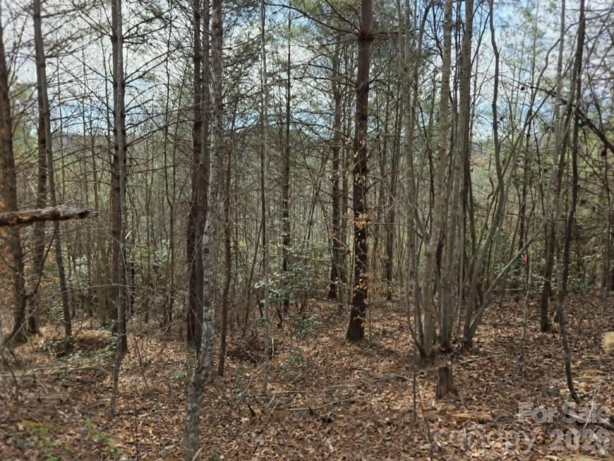 Lot 4 Kerlee Lane
