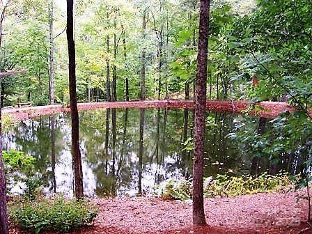 Bear Lake Reserve - Residential