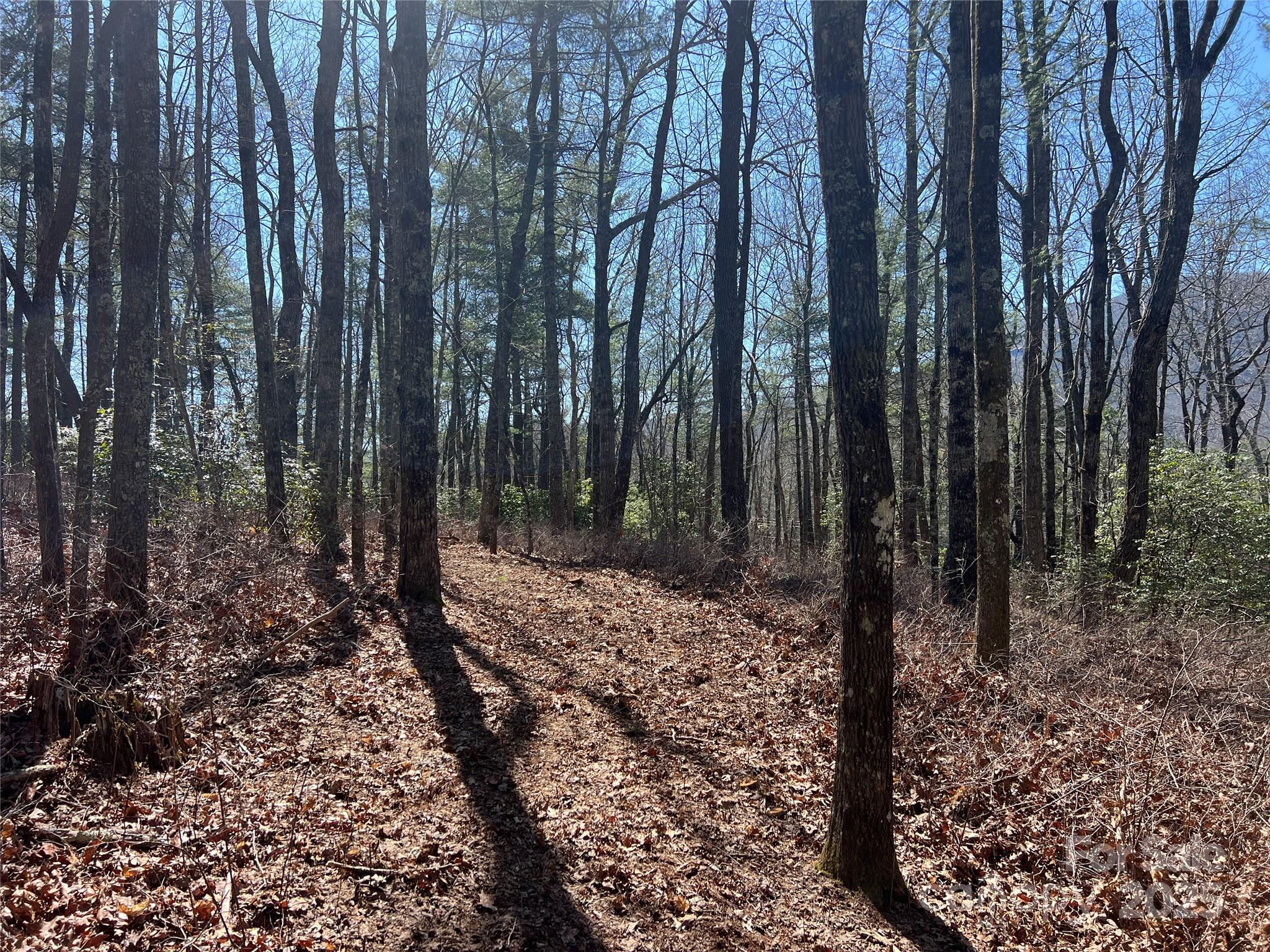 Lake Toxaway Estates - Land