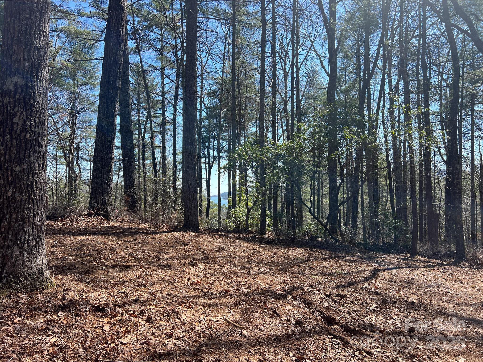 Lake Toxaway Estates - Land