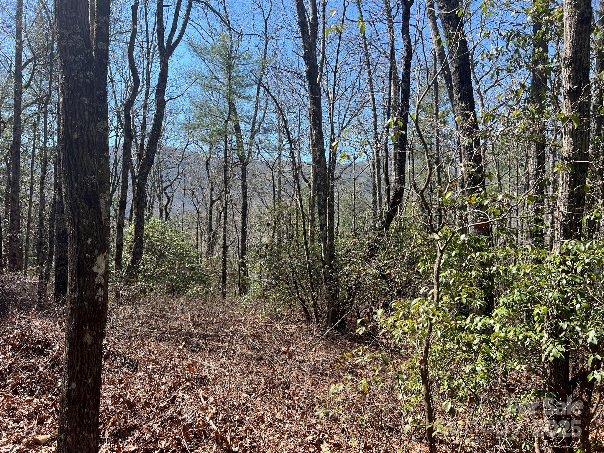 Lake Toxaway Estates - Land