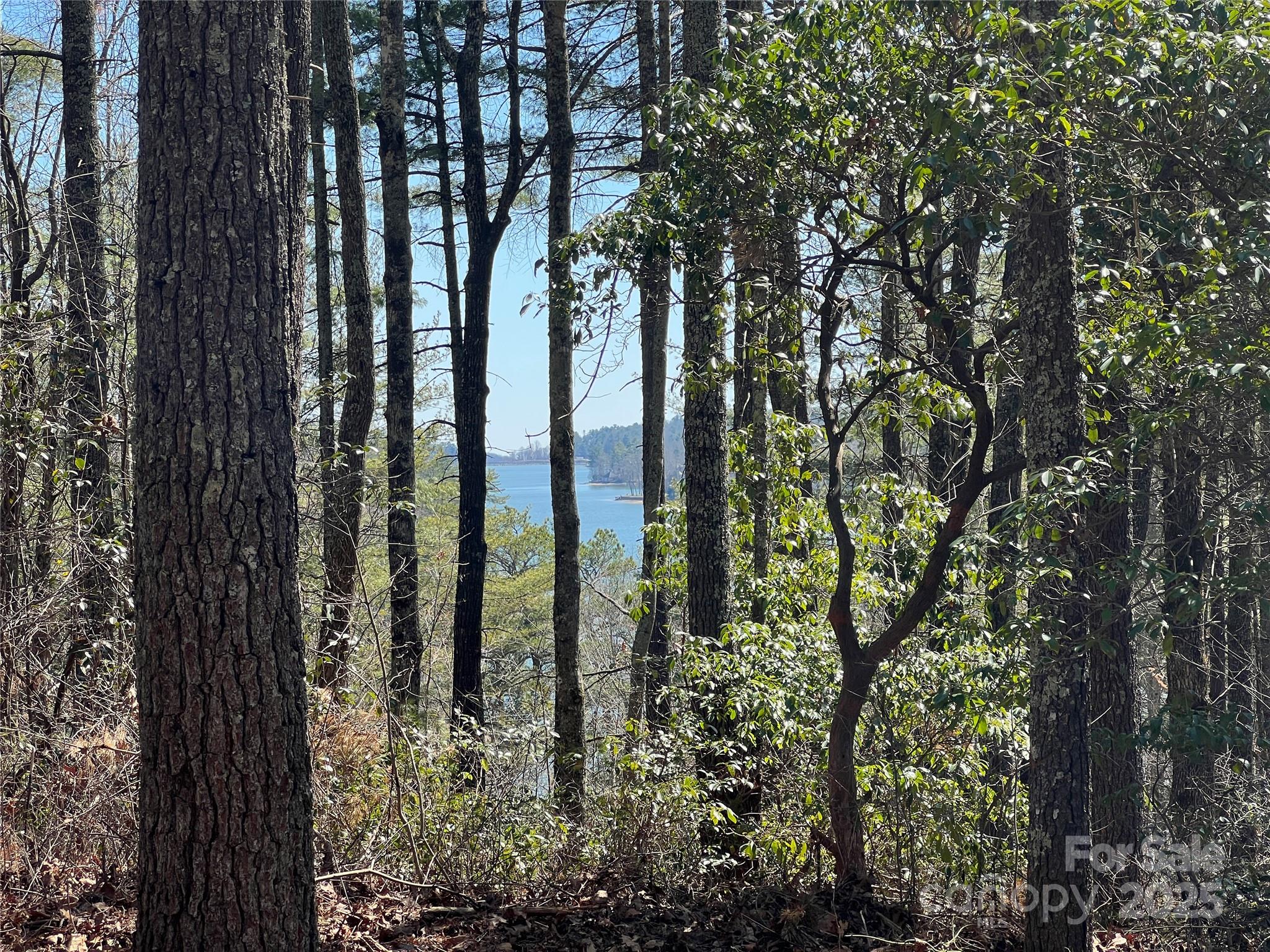 Lake Toxaway Estates - Land