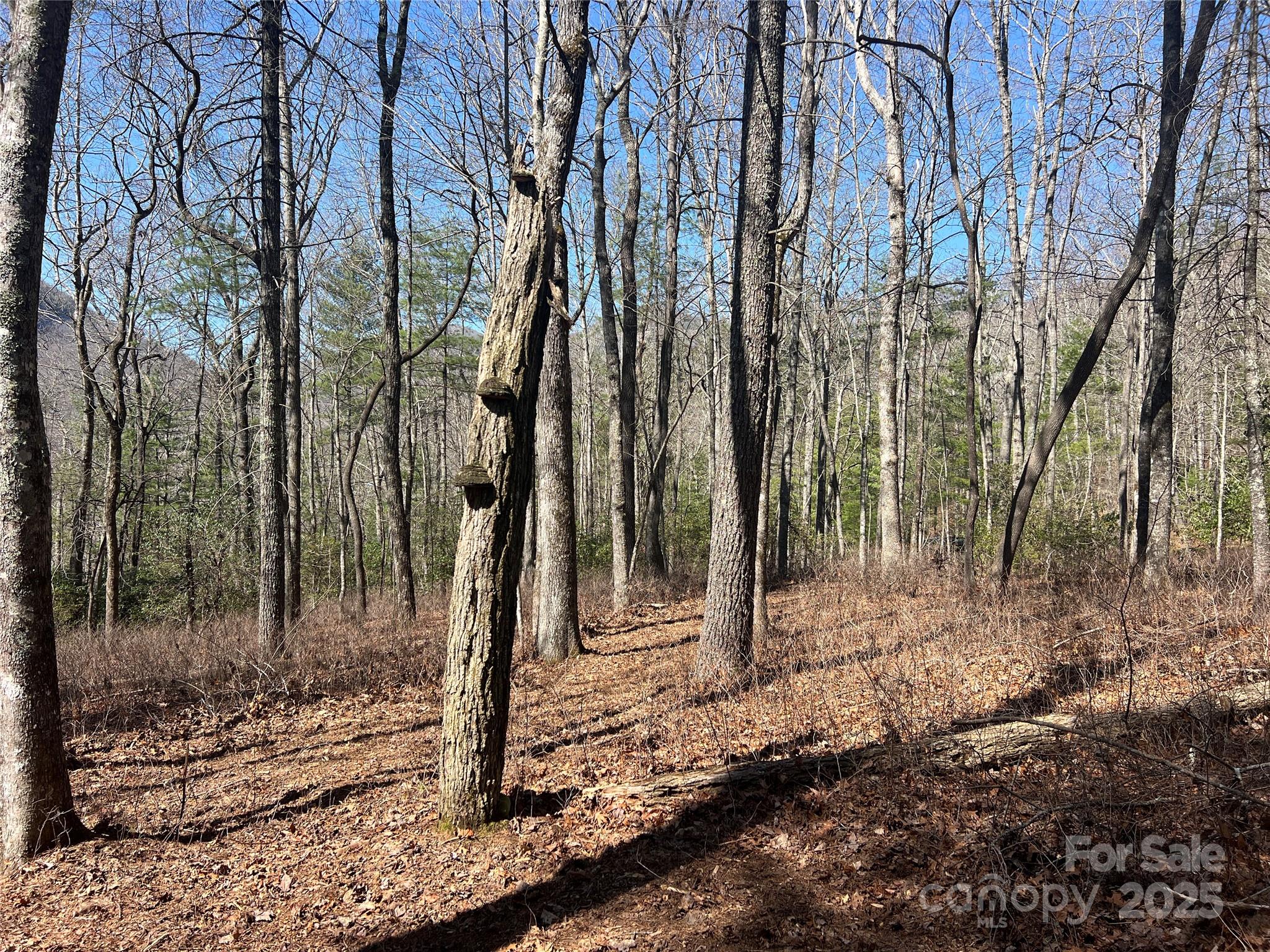 Lake Toxaway Estates - Land