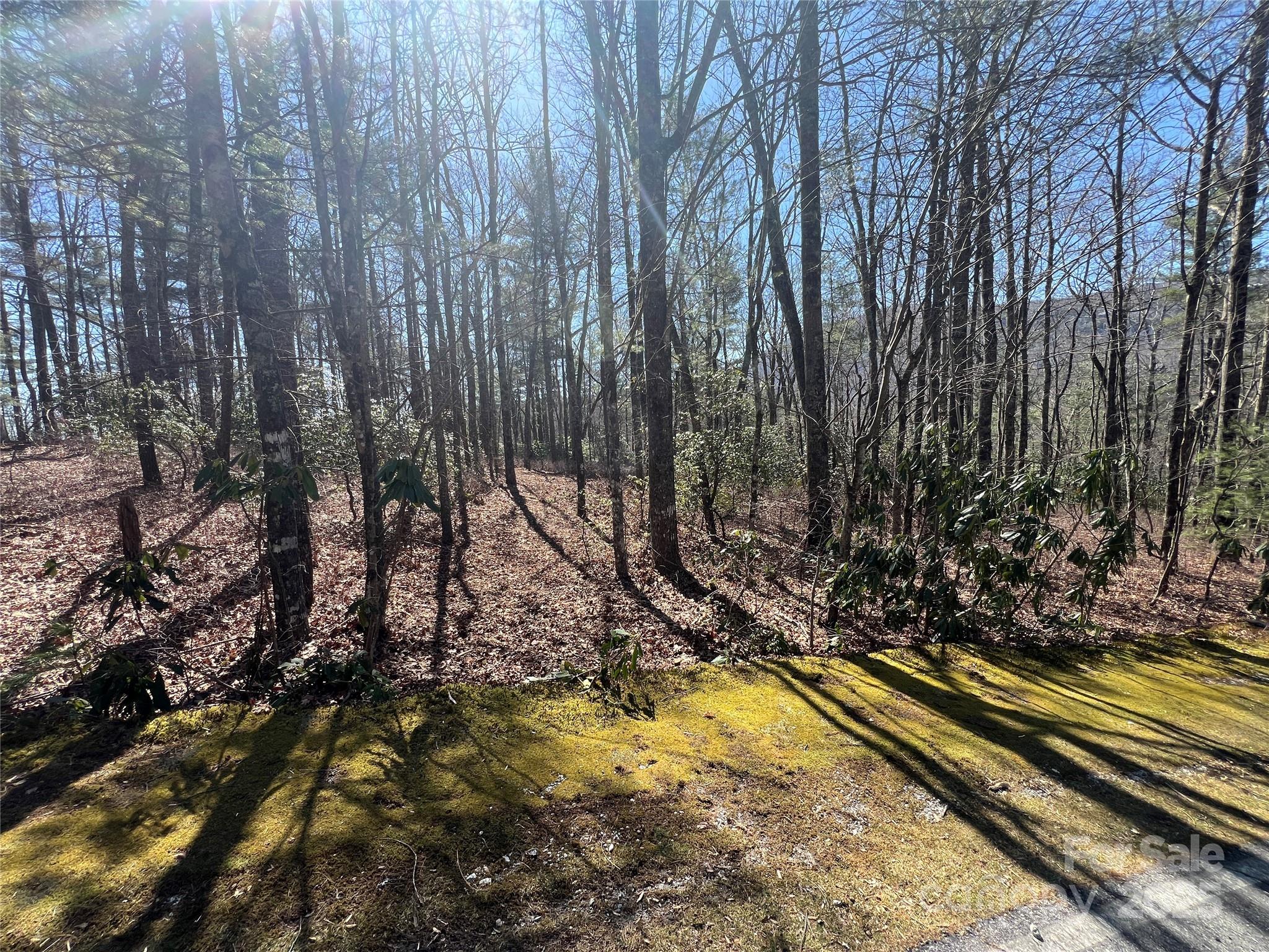 Lake Toxaway Estates - Land